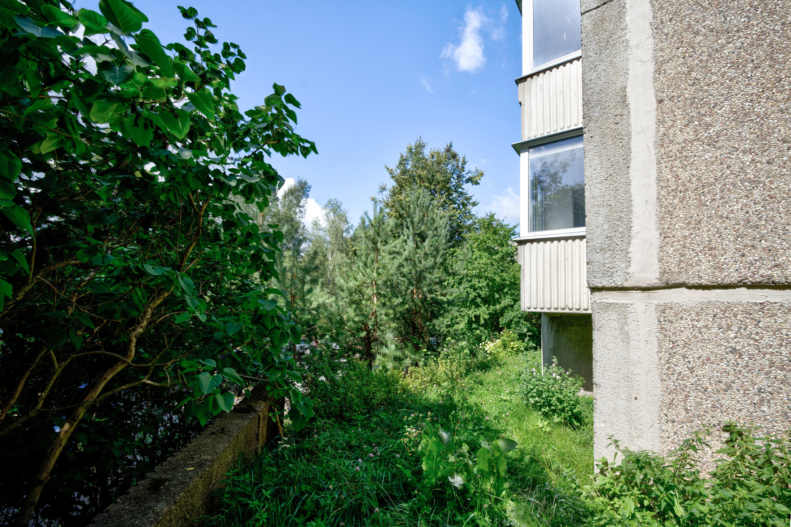 Gabijos g. Elina Sapiega fotografė Vilniuje