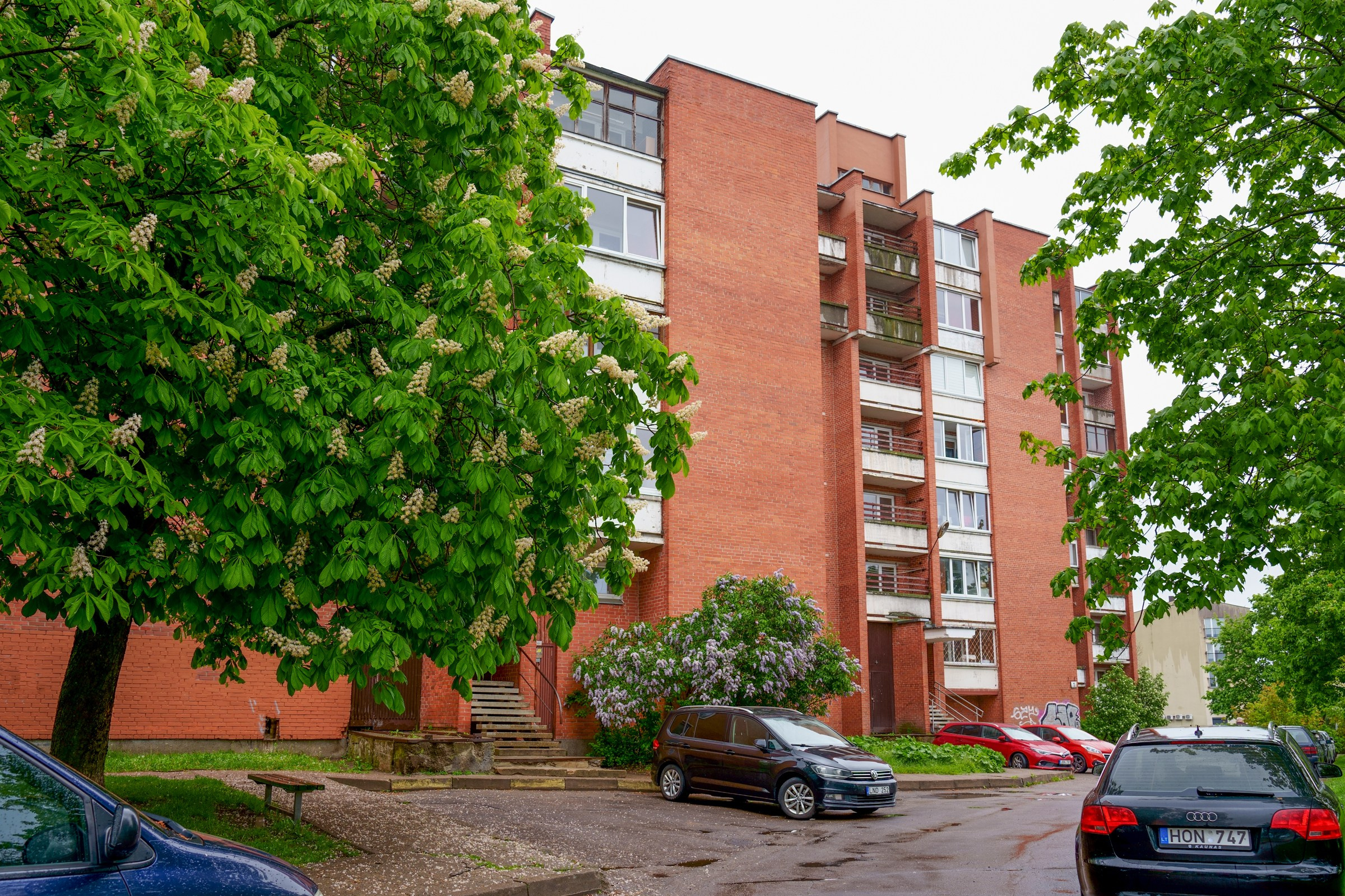 Ateities g. 1. Elina Sapiega fotografė Vilniuje