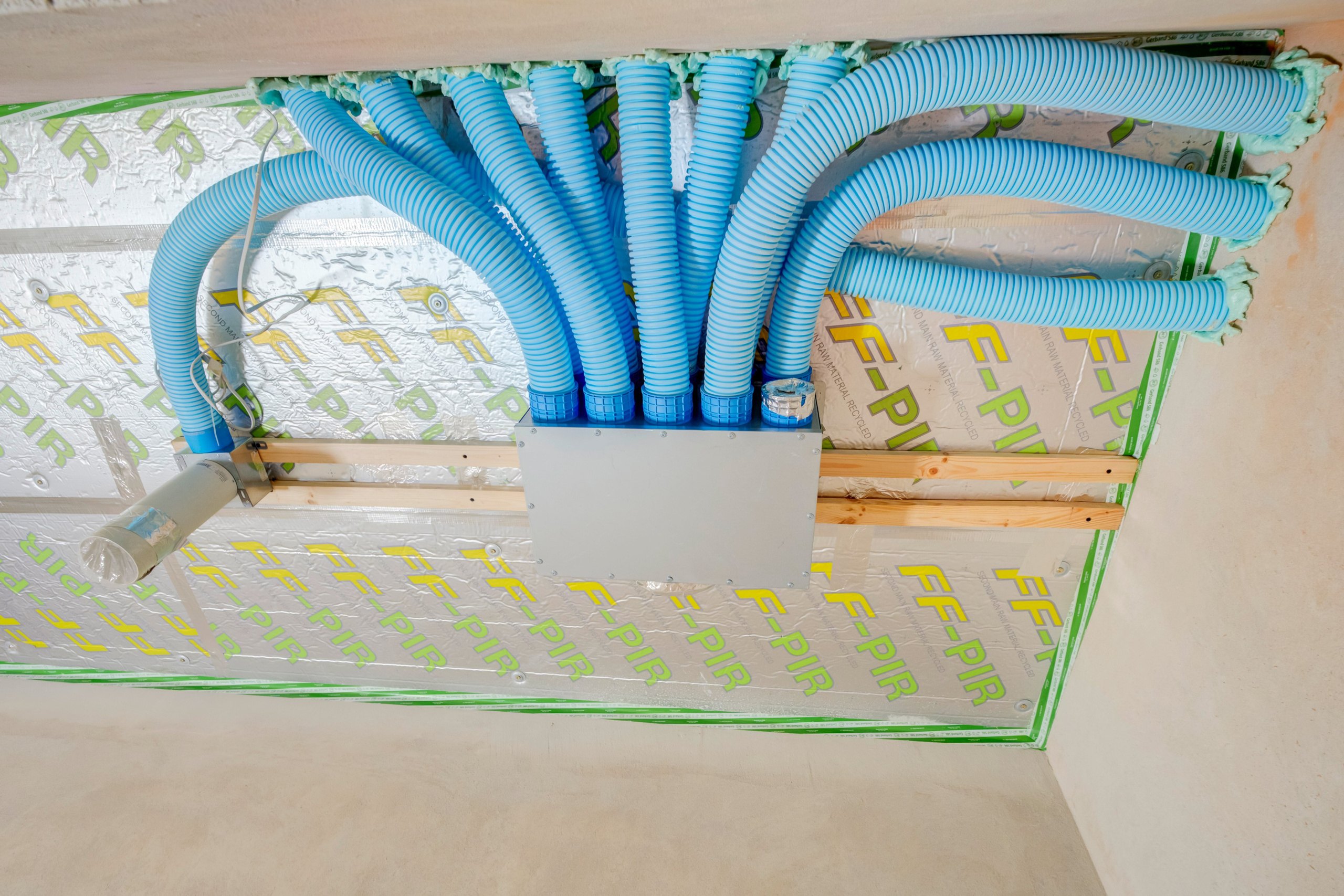 Platiniškės, Geismių g.15. Elina Sapiega fotografė Vilniuje