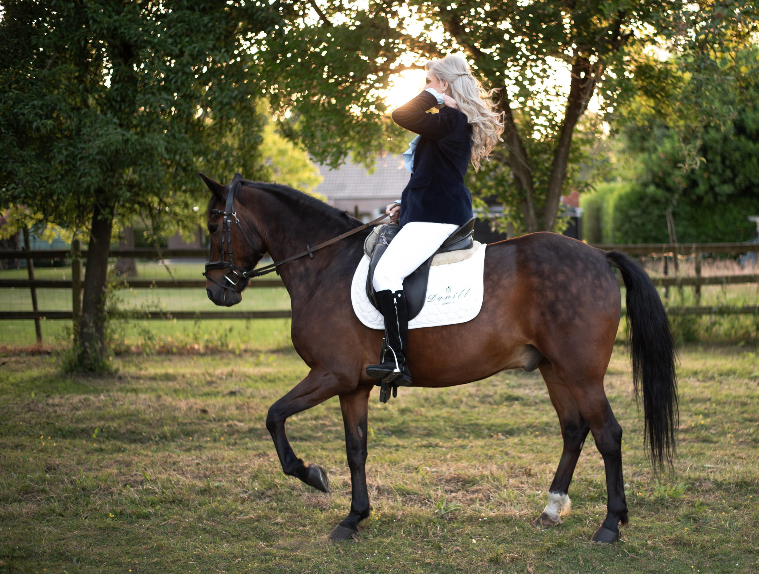 Photoshoot with Horses. Professional Photograher, Antwerpen/Belgium
