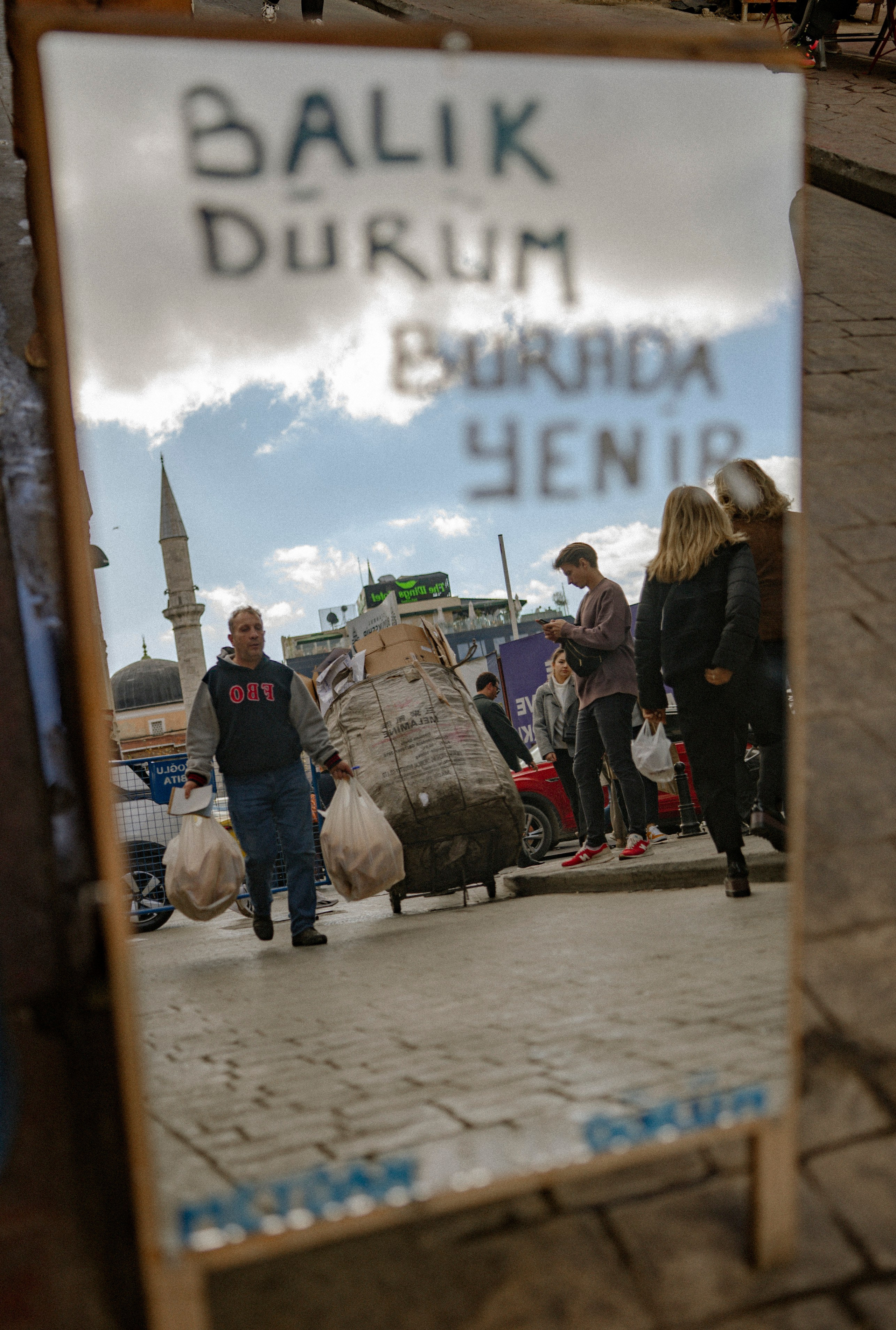 фото стамбул кот играет