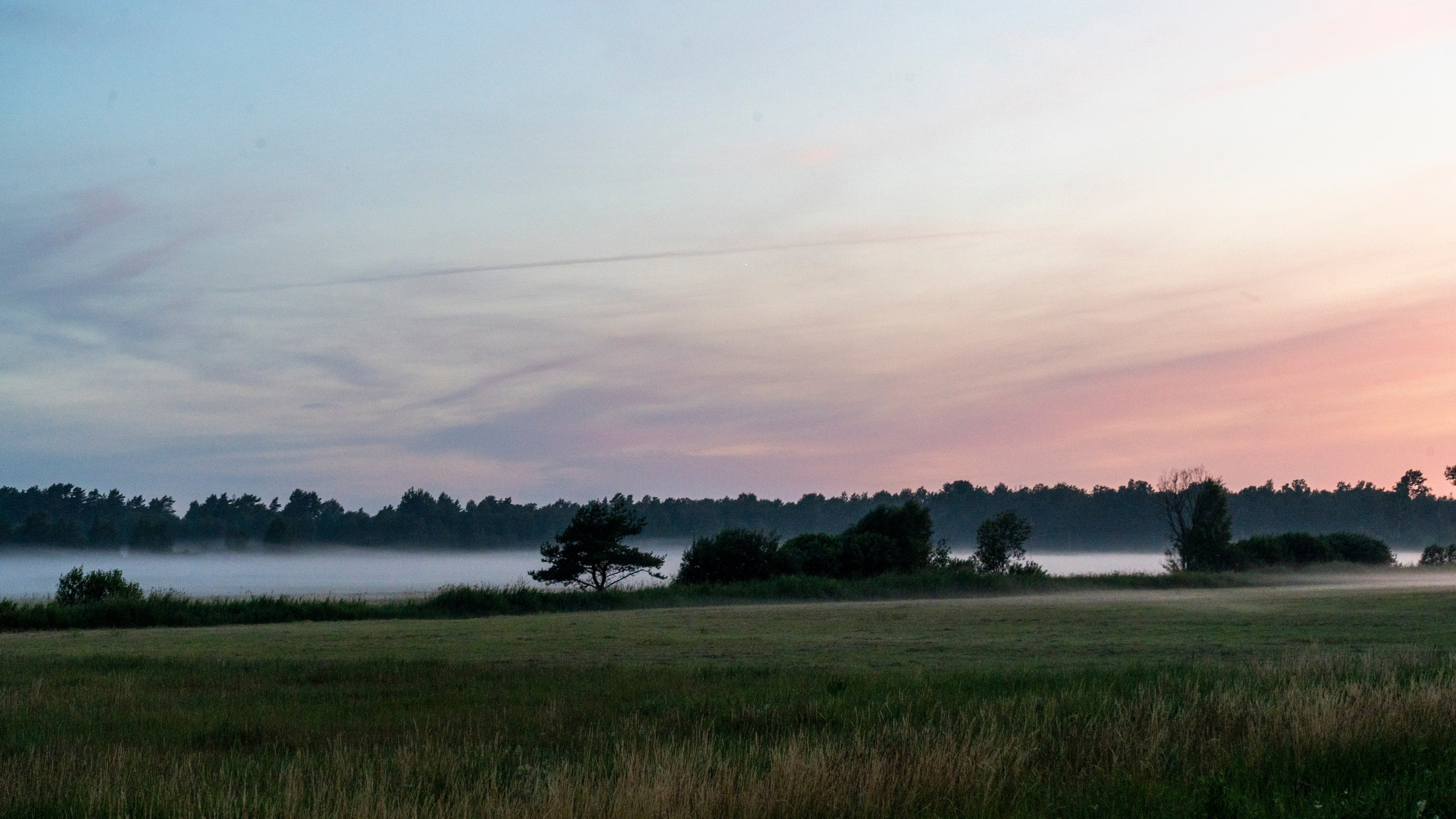 Whispers of Estonia. Photography | Videography | Marketing