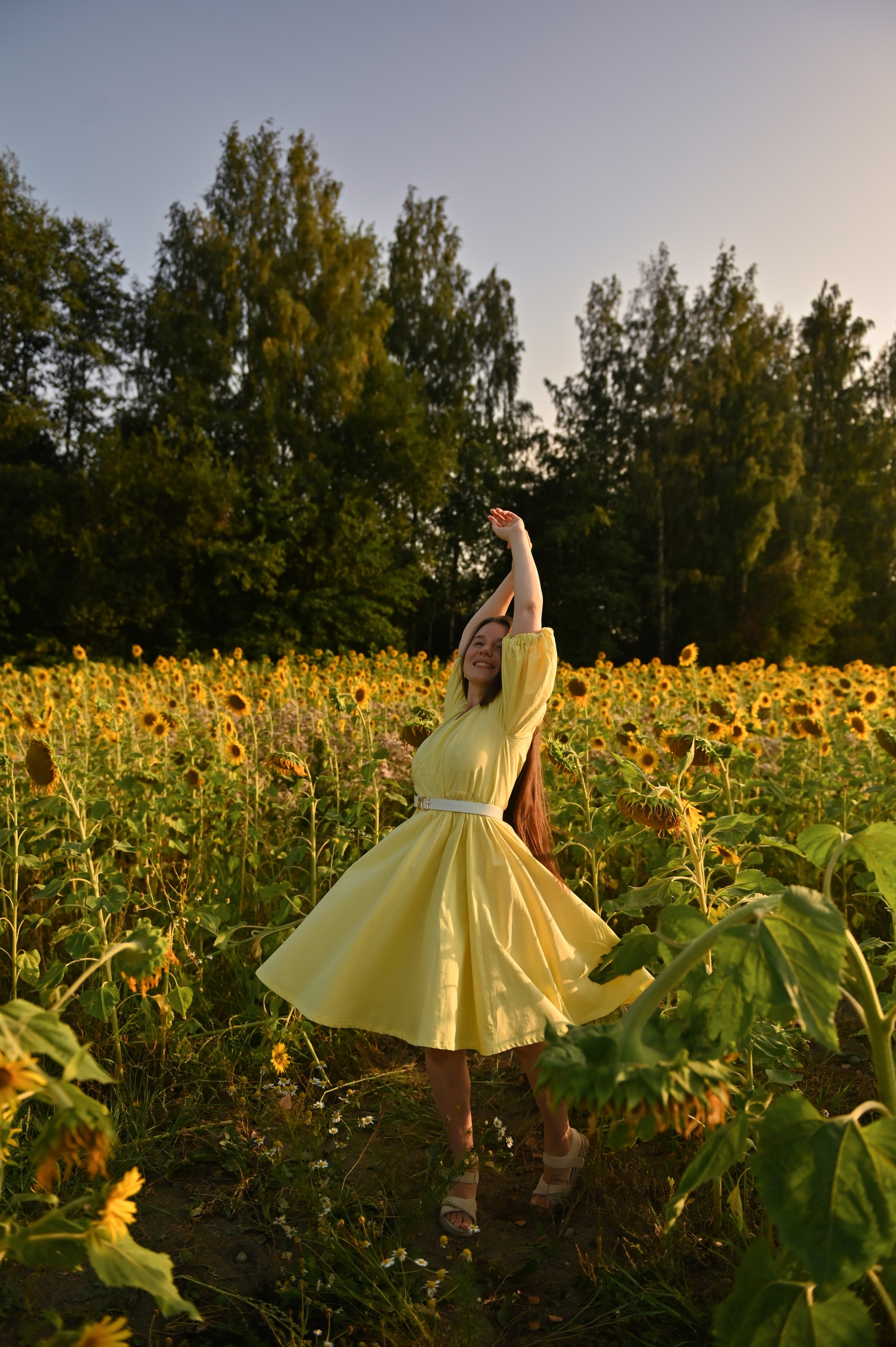 Подсолнухи. Детский и семейный фотограф в финляндии дина пулкка. контент фотограф