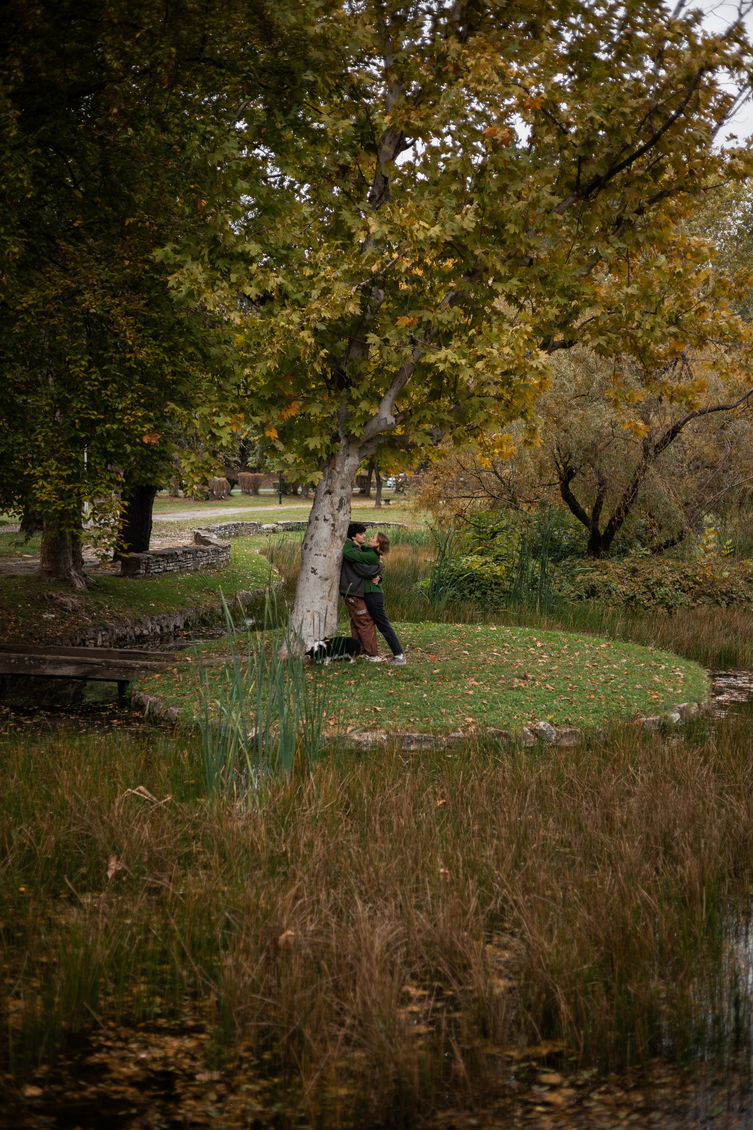 Даня, Аня и Плюша. Фотограф-анималист | Белград