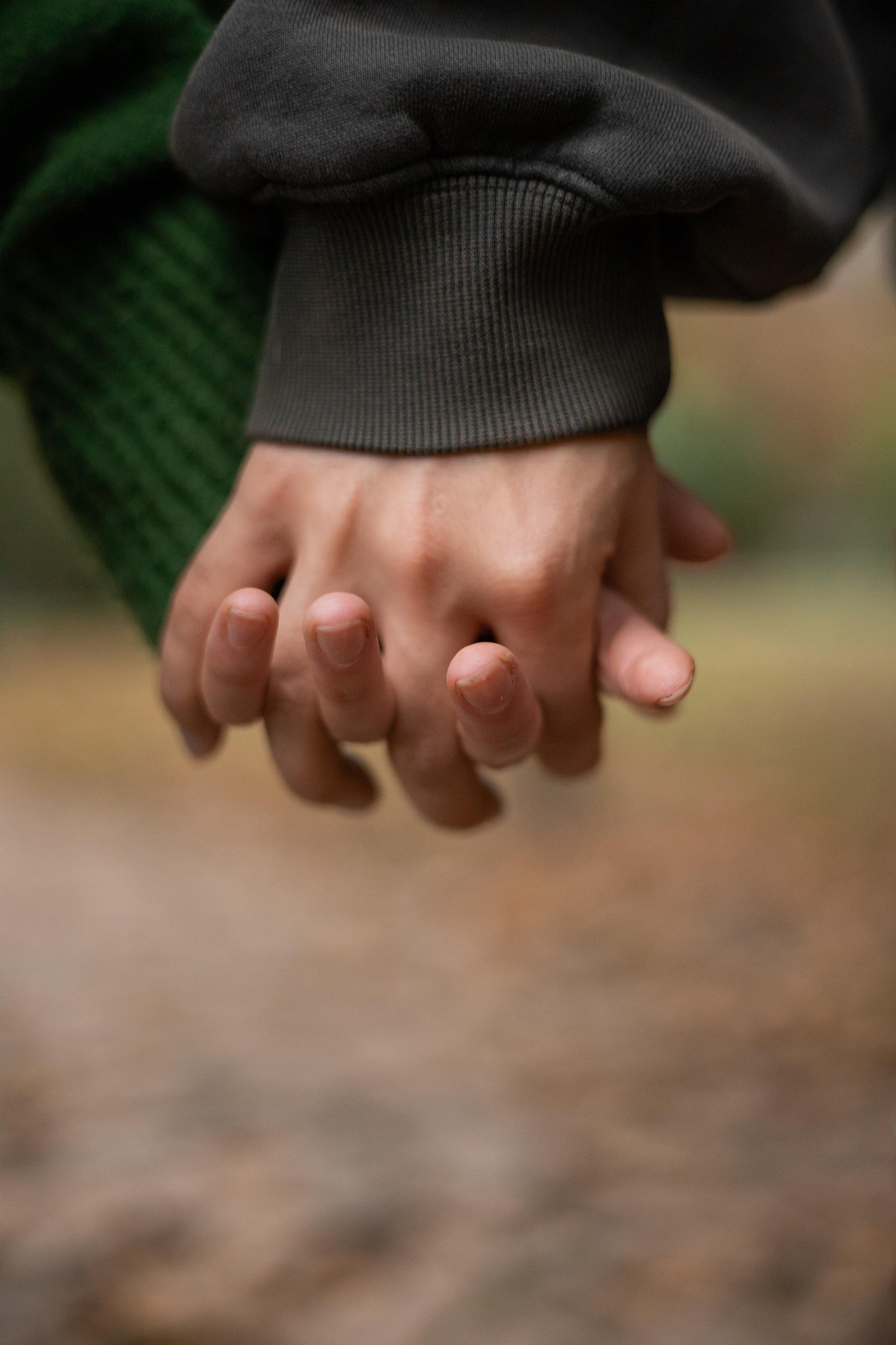 Даня, Аня и Плюша. Фотограф-анималист | Белград