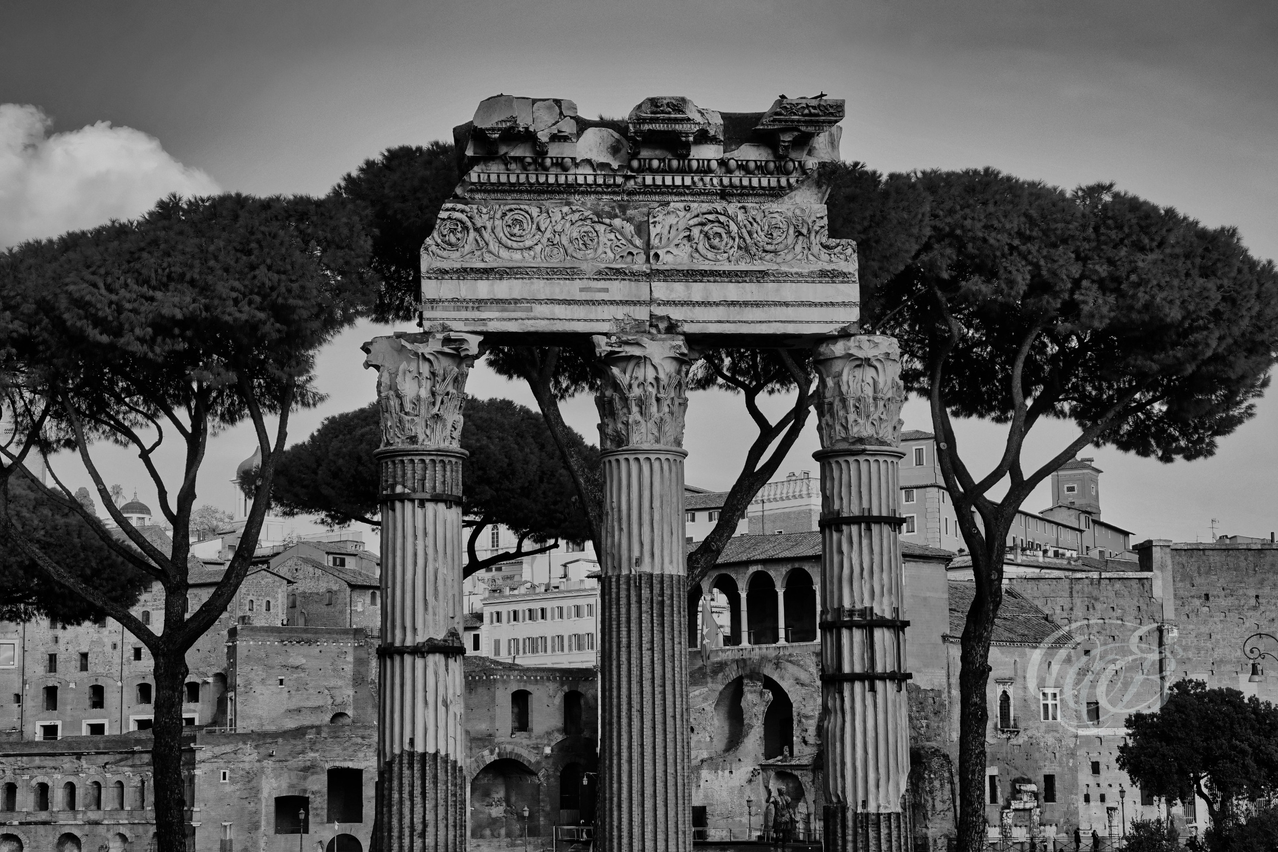 Rome Italy – Temple of Venus Genetrix in the Roman Forum, ancient marble columns and ruins of the Augustan period captured in black and white fine art photography. Rome, Italy – photography by Eduardo Bartoli.
