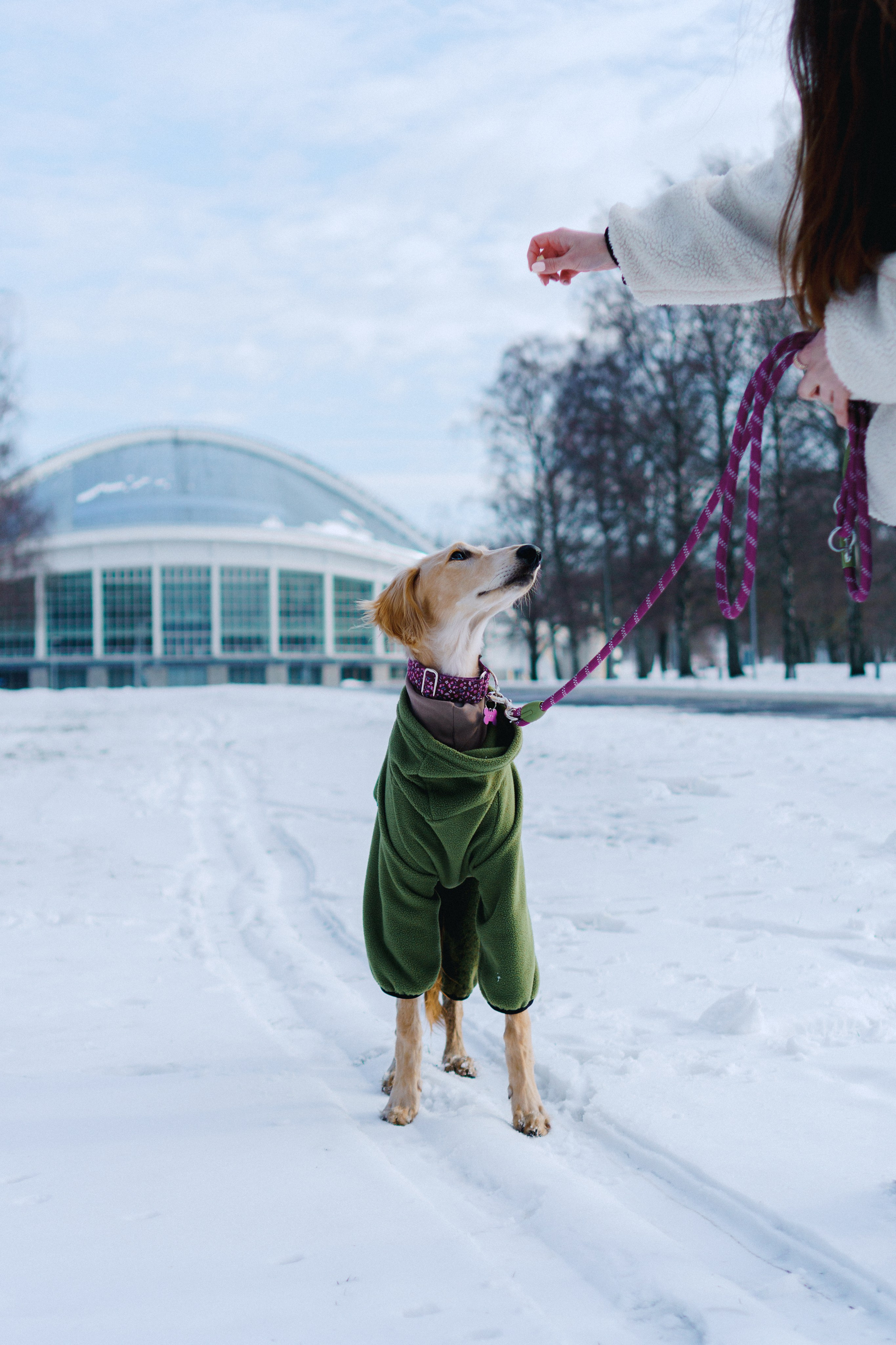 Nicole & Sky. Kat Laisaar — Pet photographer in Tallinn