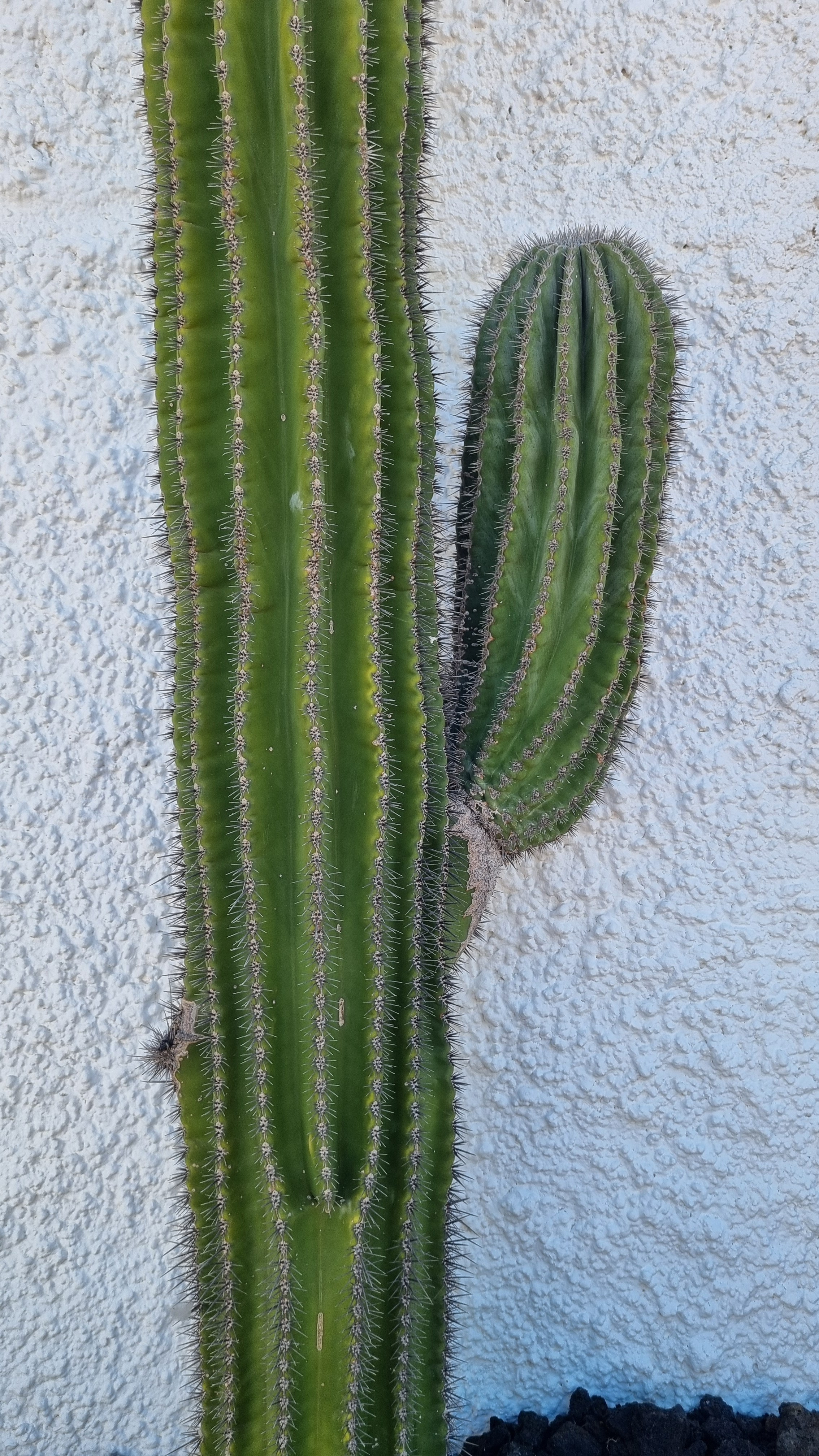 Gran Canaria 2024. Марина фотограф из Нюрнберга