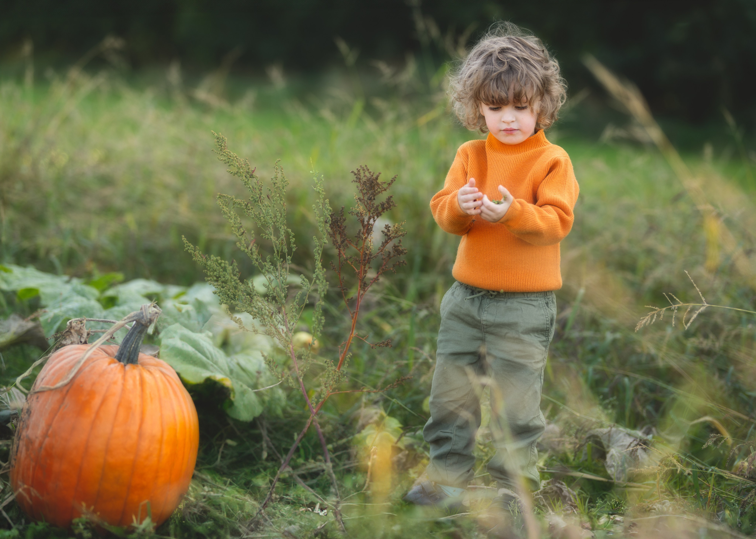 Family. Inlovewithphoto