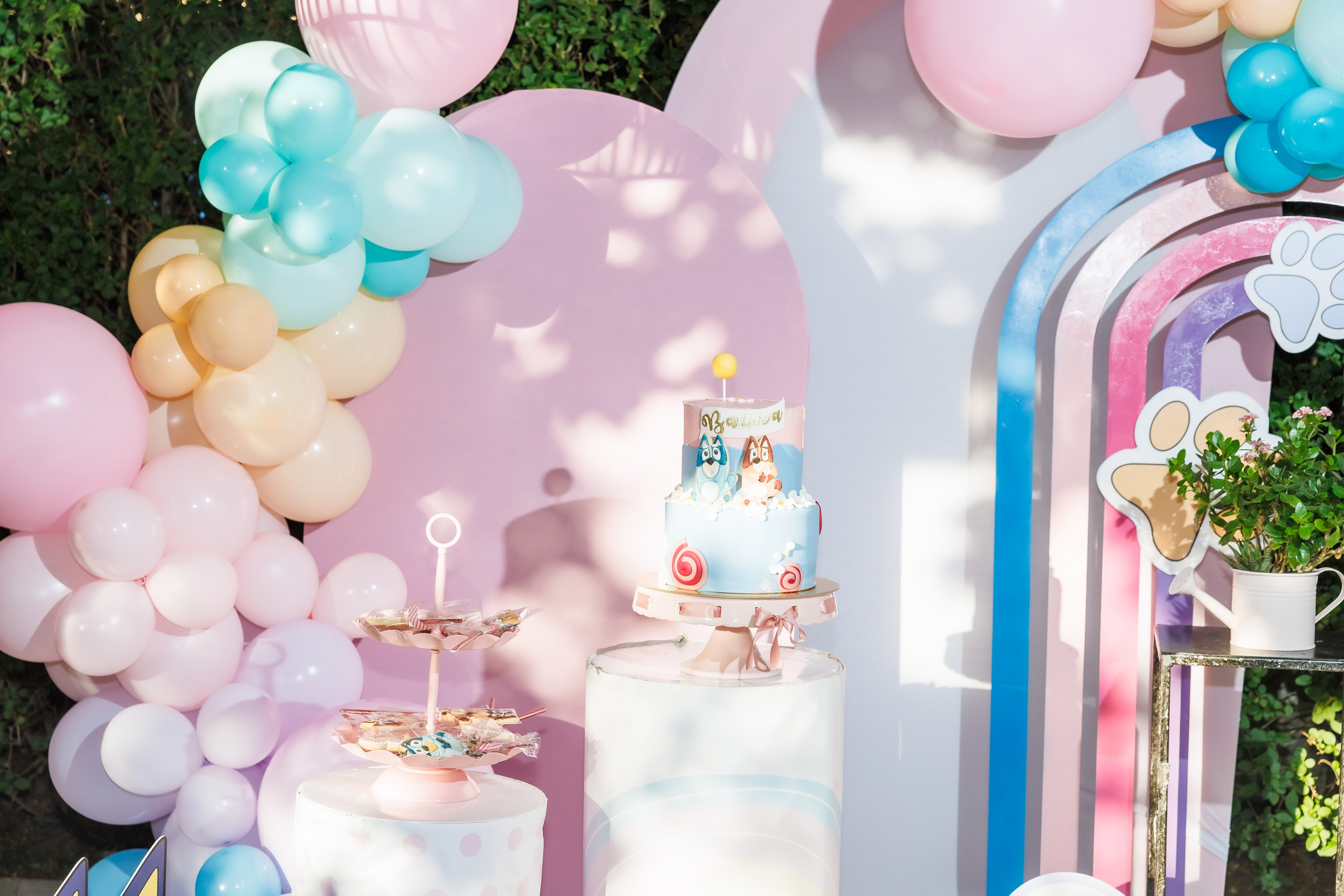 Честит Рожден Ден. Фотограф Ирина Йотова