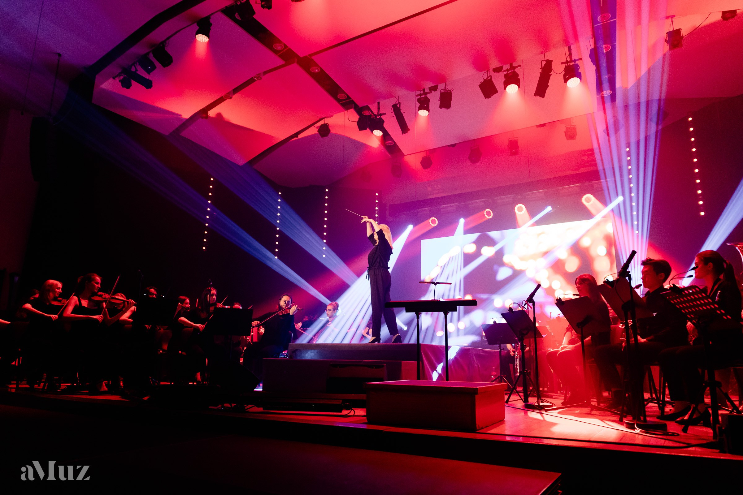 Koncert Amuz.pl. Fotograf Ślubny Warszawa - Sesje Biznesowe Rodzinne Eventy