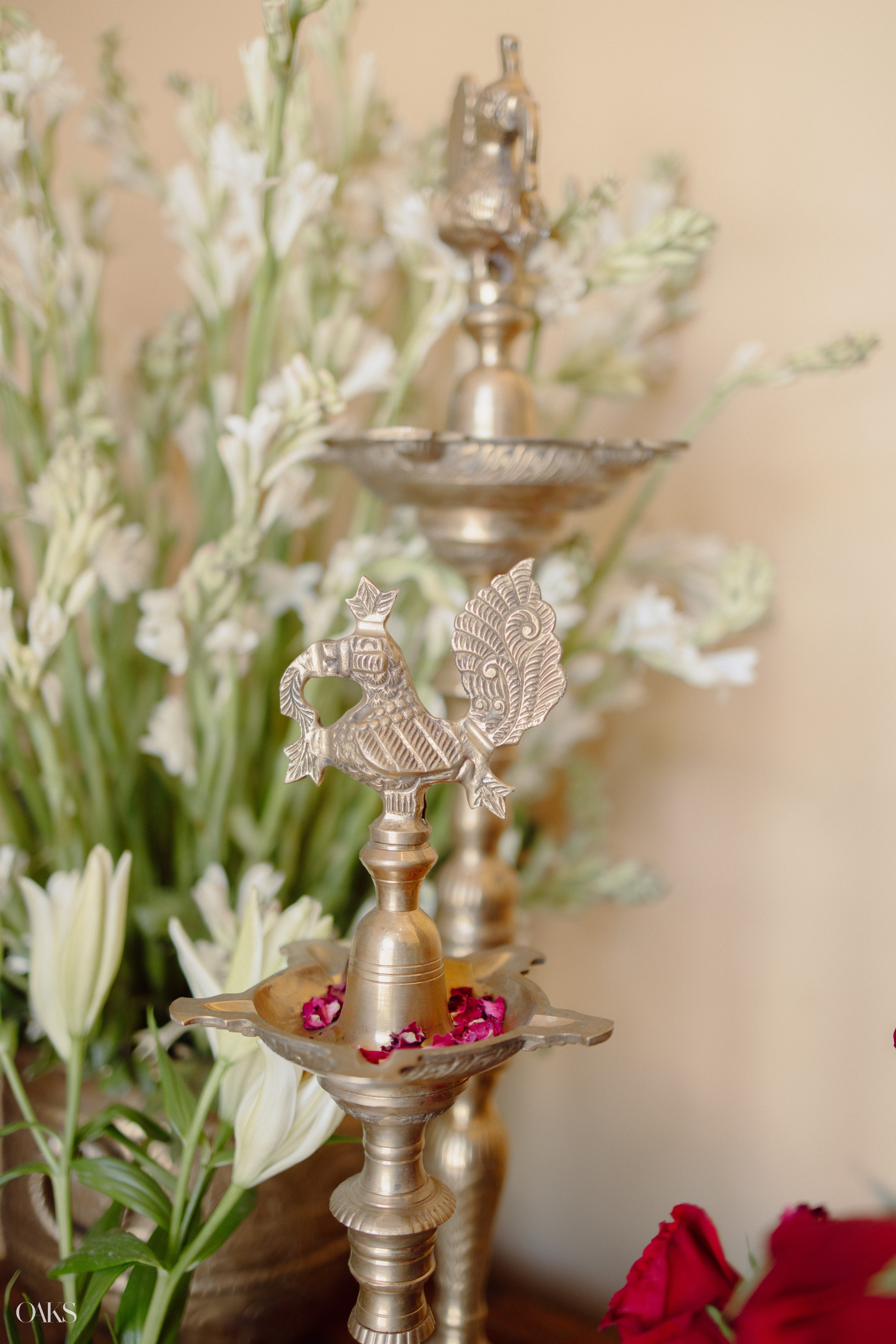 Deepak & Aarushi. Wedding & Editorial Photographer | Anandshivadas