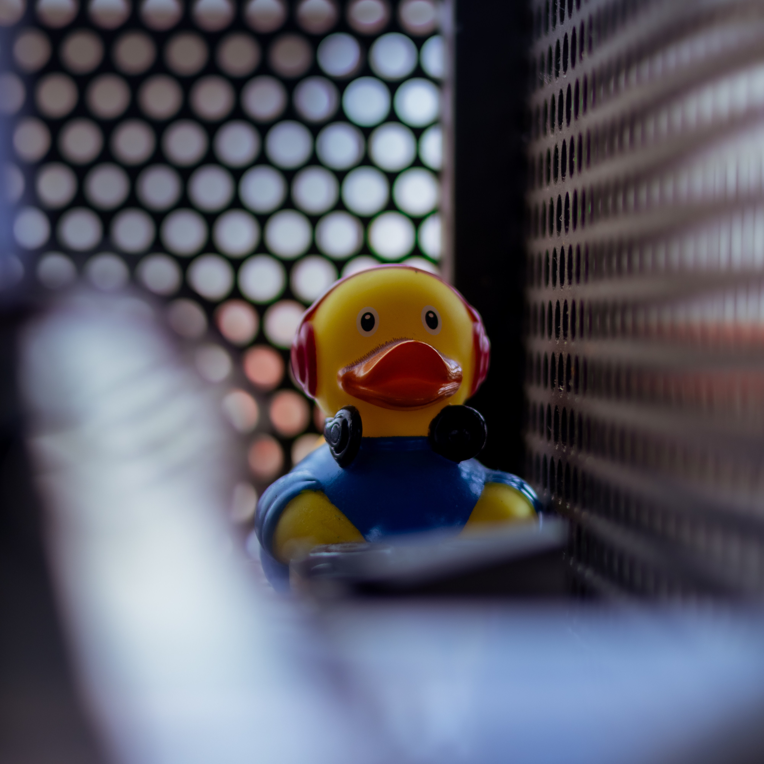 DGallery | Fotógrafo de Eventos, Pets e Bebés no Porto