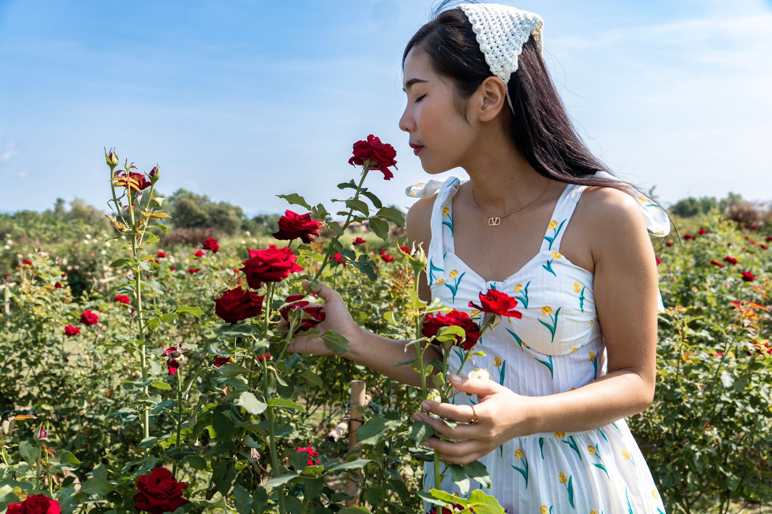 Pim. Art and outdoor photography