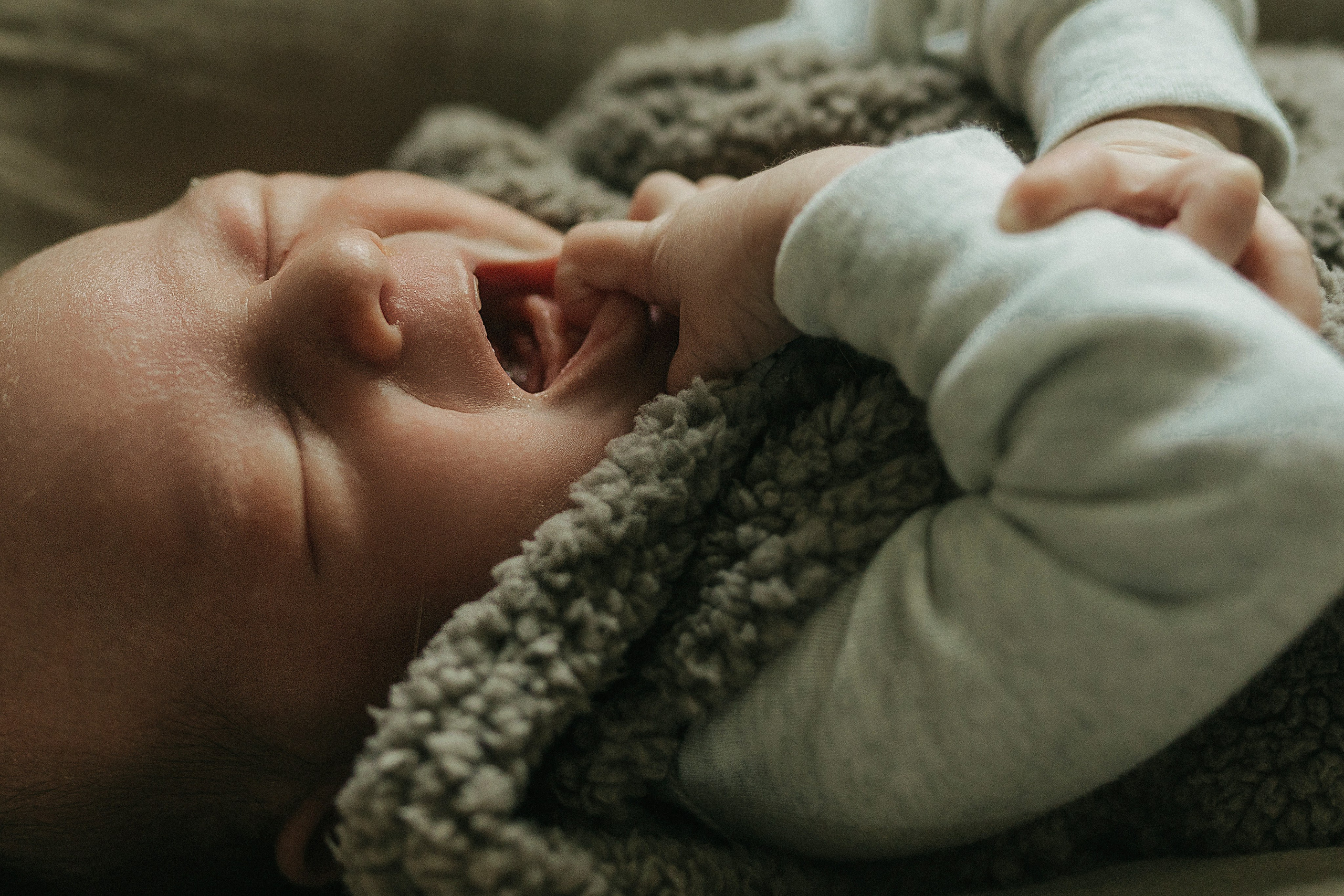 Dana, Paul, Matteo. Wedding and family photographer and videographer PA, NJ, NY, DE, MD