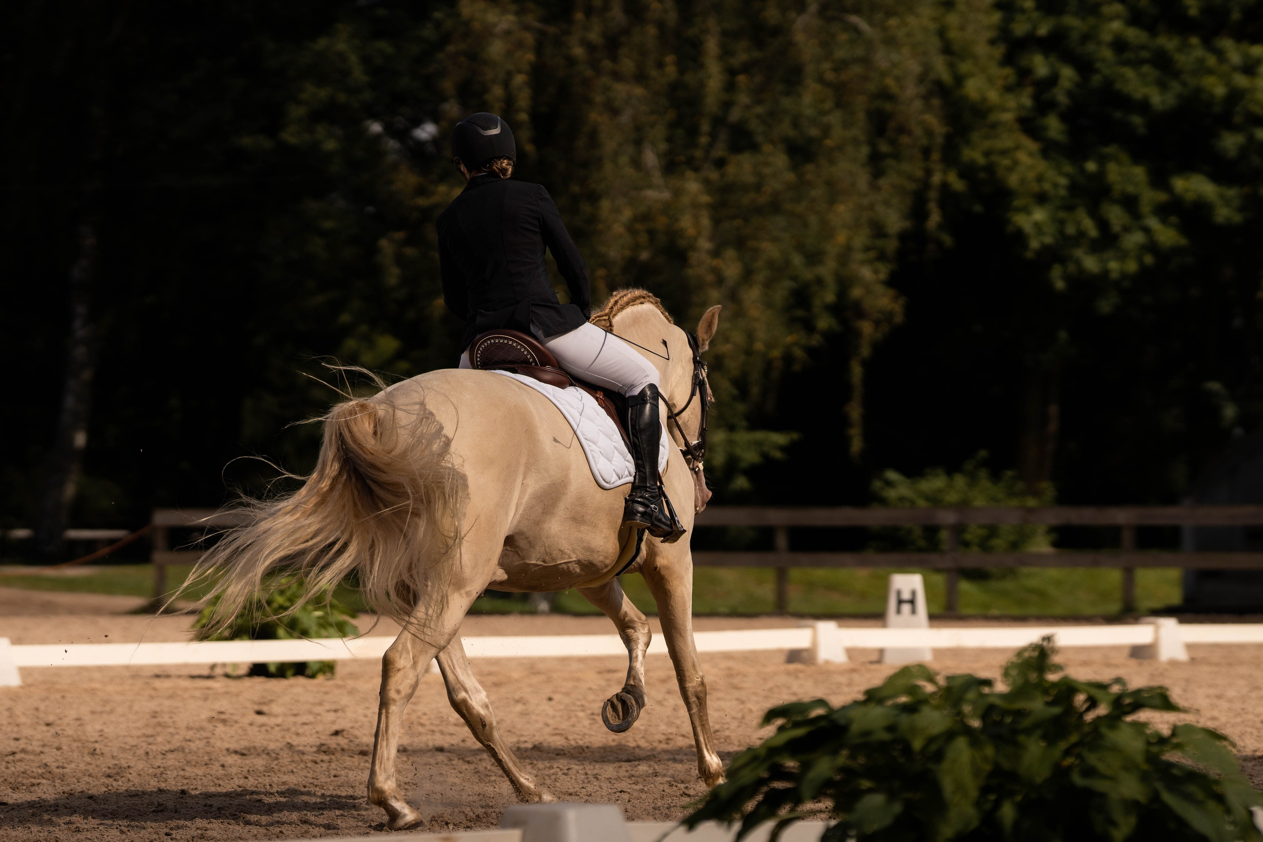 Dressage competitions. Sports and portrait photographer in Riga