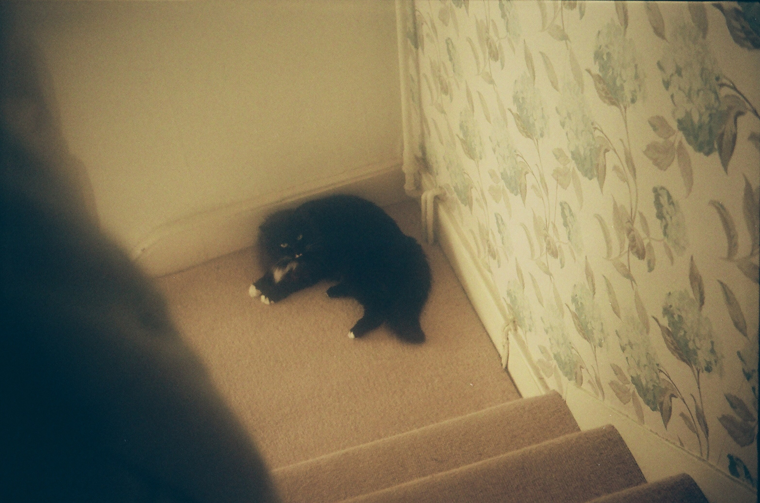 Folkestone (England, UK) 2025. Elena Zykova film photographer in London