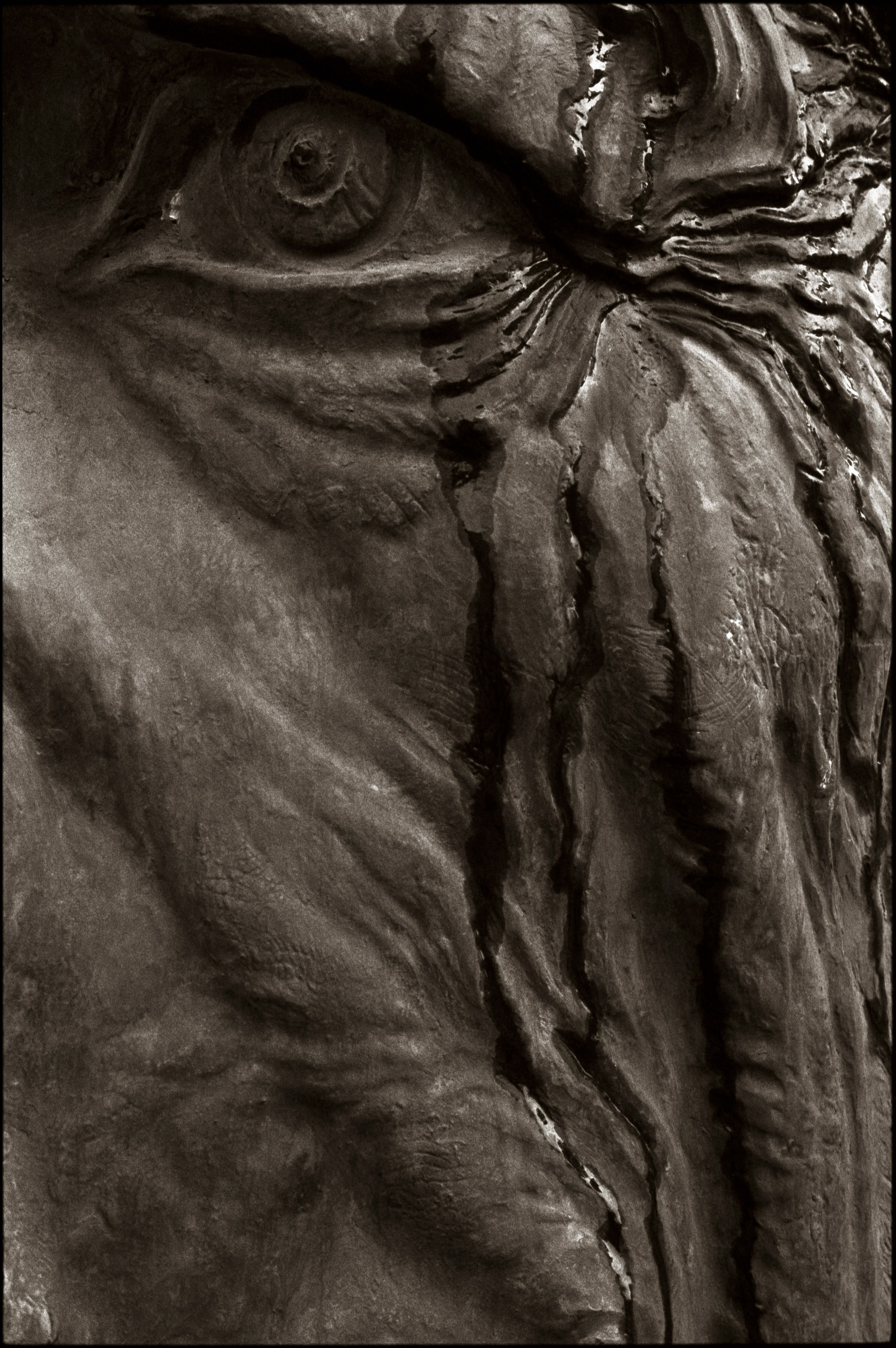 Aliaga Vahid. Tear.  Baku, 2016