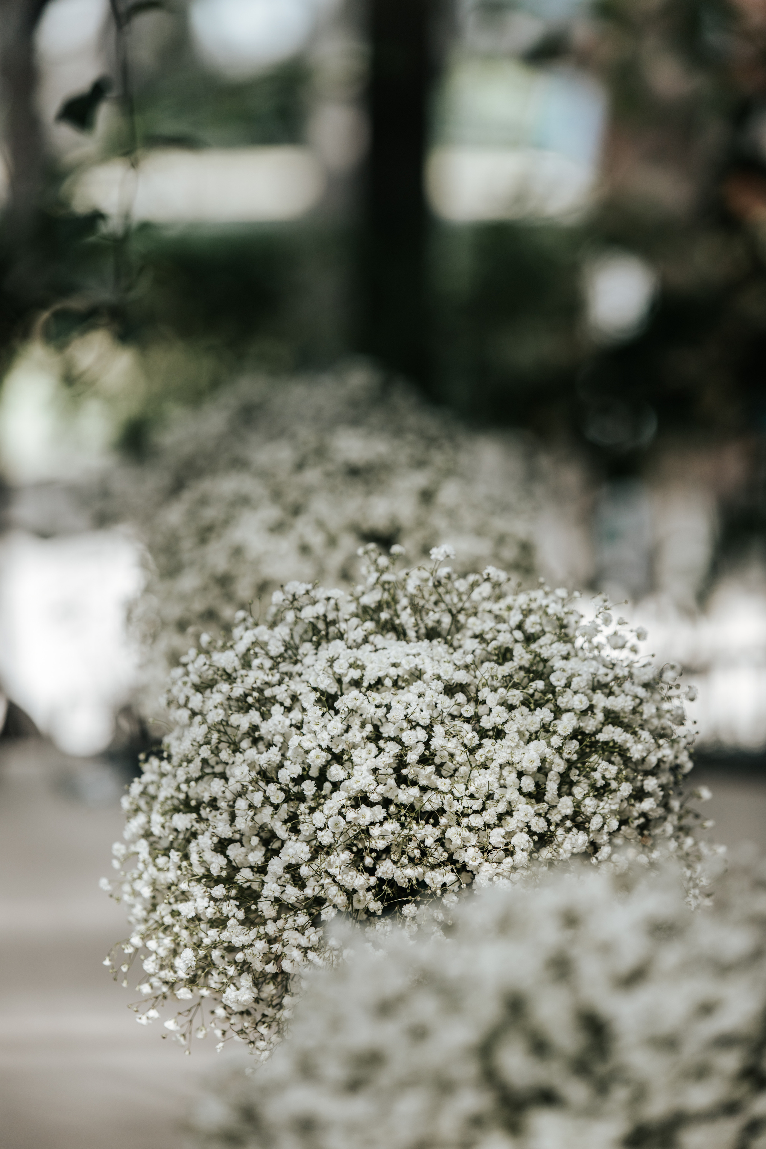 Adomo krikštynos. Wedding, christening and family photographers in Vilnius, Lithuania