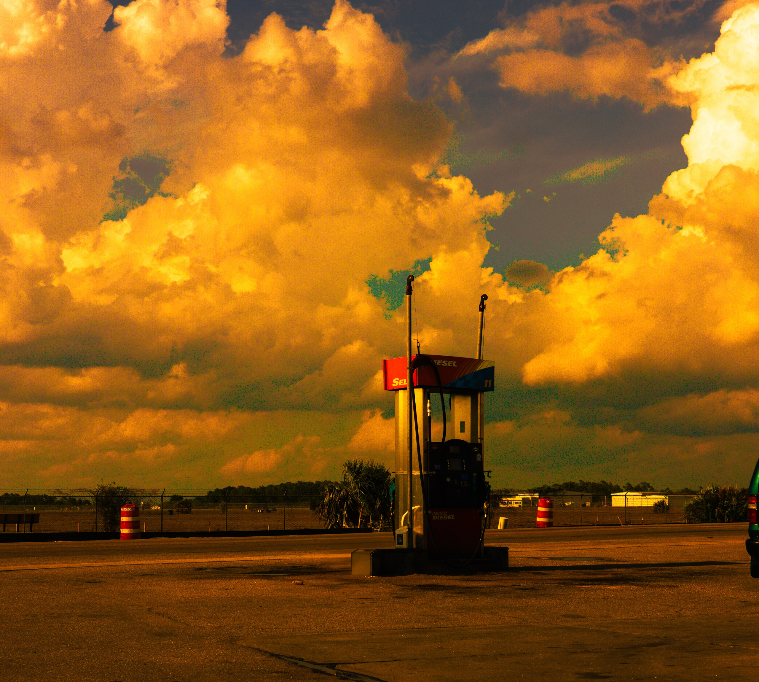 Immokolee. Out and About 239