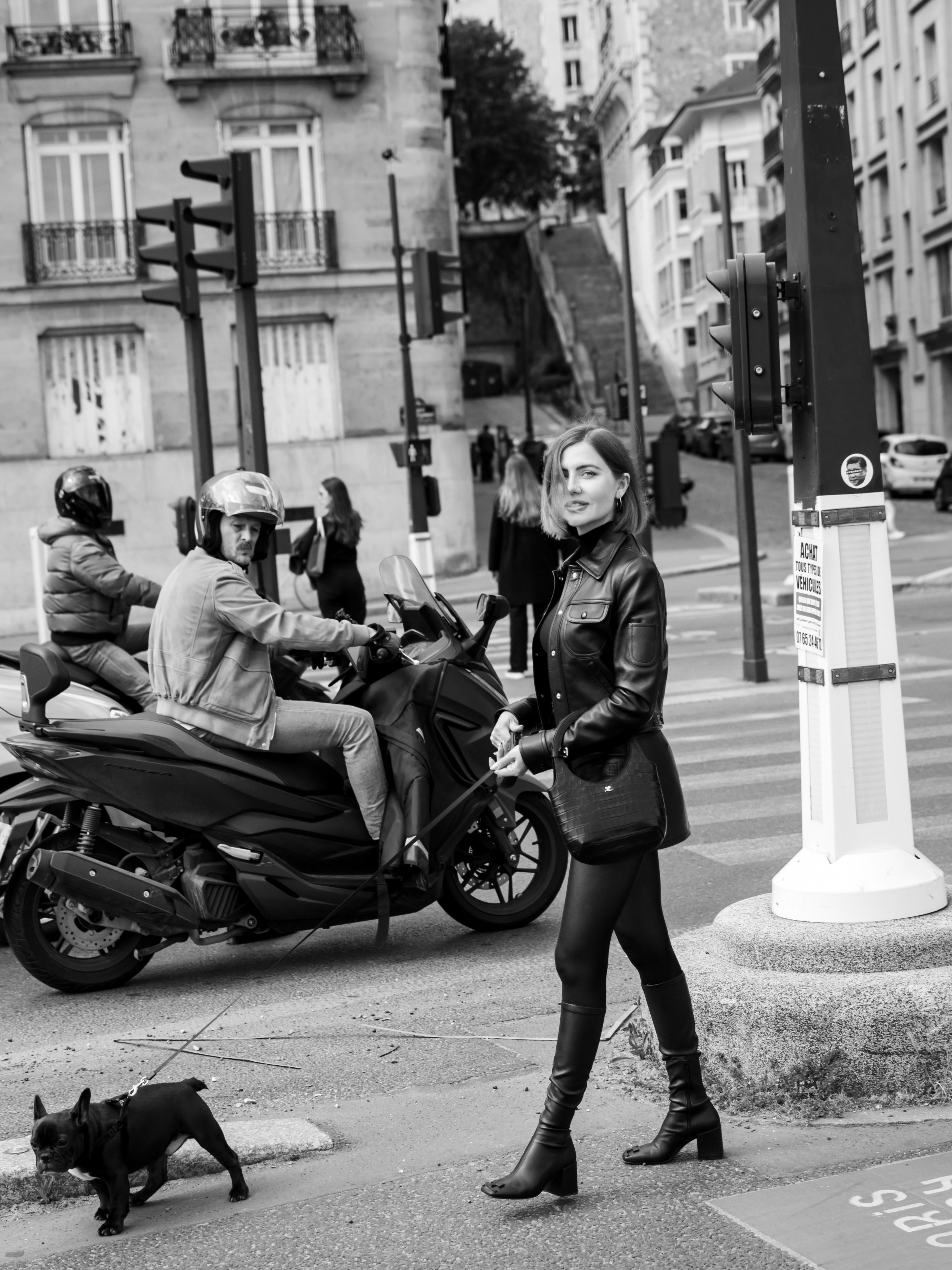Tanya, Daisy et Jador. Photographe animalier à Paris Anna Pereira