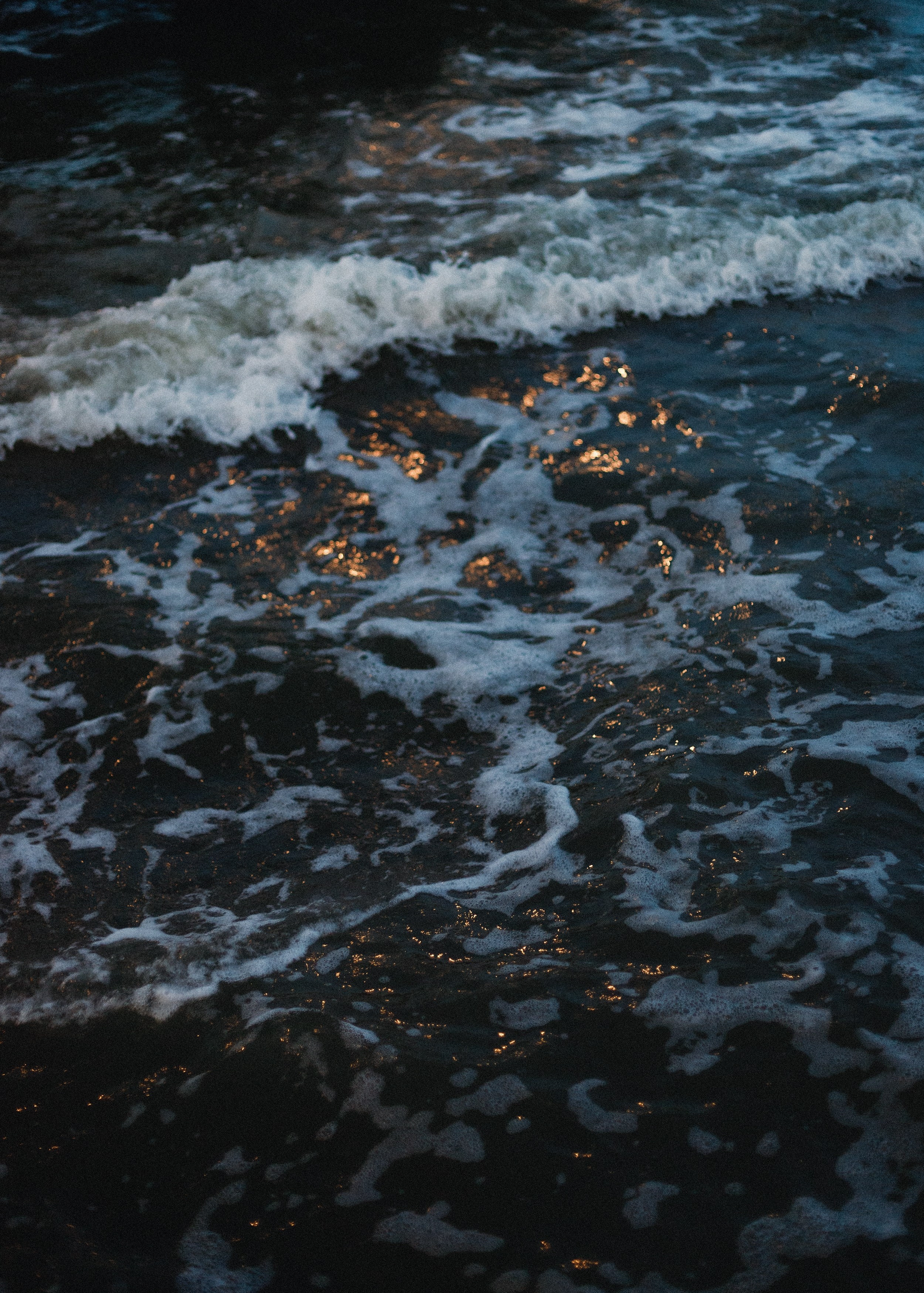 Darya & sea. Kaja | fotograf psów we Wrocławiu