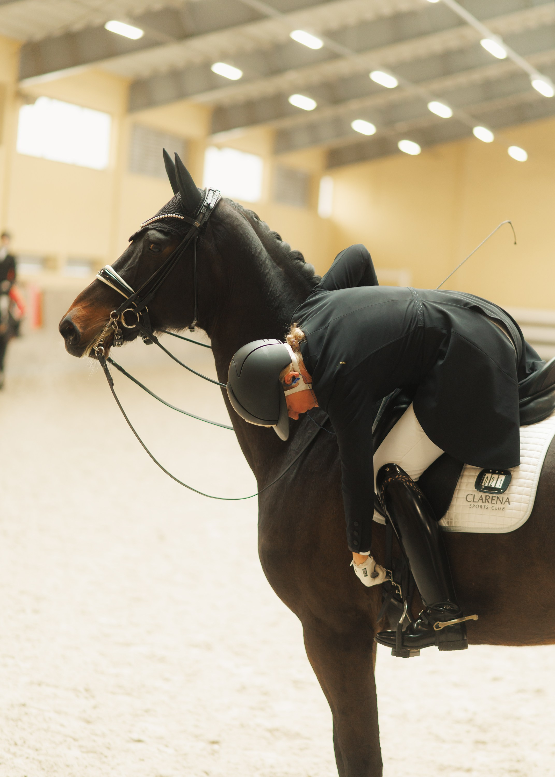 Fotografia koni Wrocław \ ujeżdżenie, Partynice. Kaja | fotograf we Wrocławiu | ludzie i psy