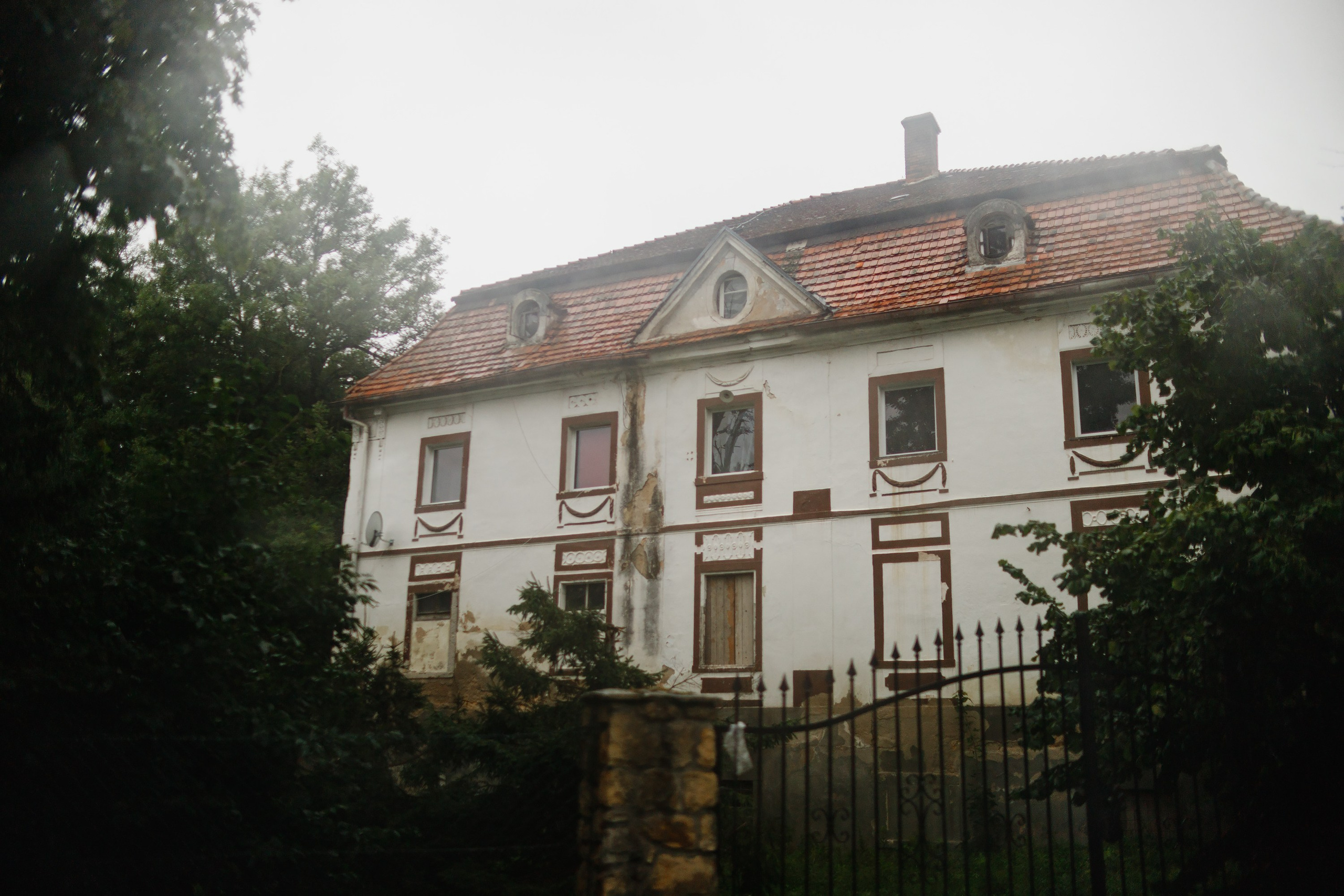 Zamek Grodziec. Kaja | fotograf psów we Wrocławiu