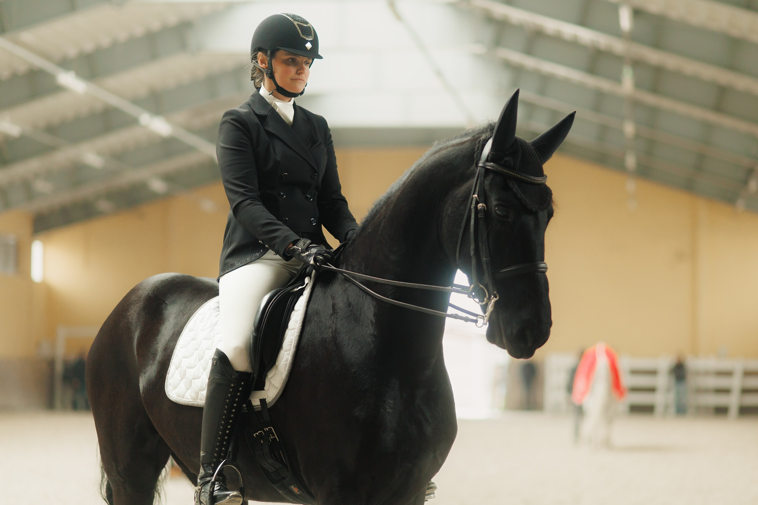 Fotografia koni Wrocław \ ujeżdżenie, Partynice. Kaja | fotograf we Wrocławiu | ludzie i psy