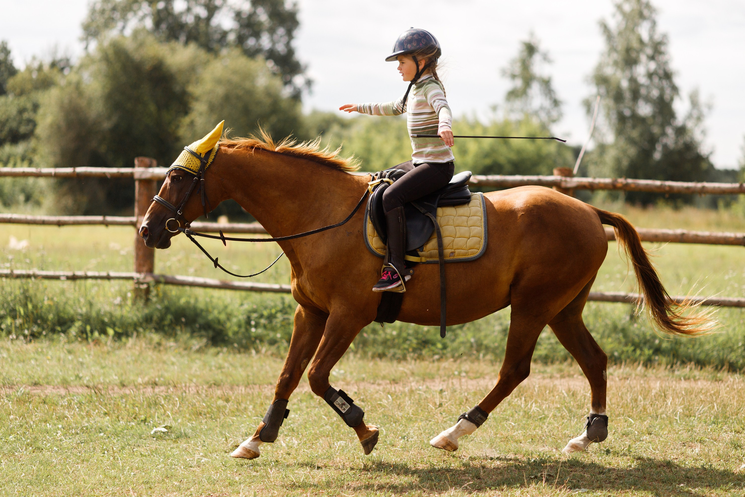 Girls & horses, summer. Kaja | fotograf psów we Wrocławiu