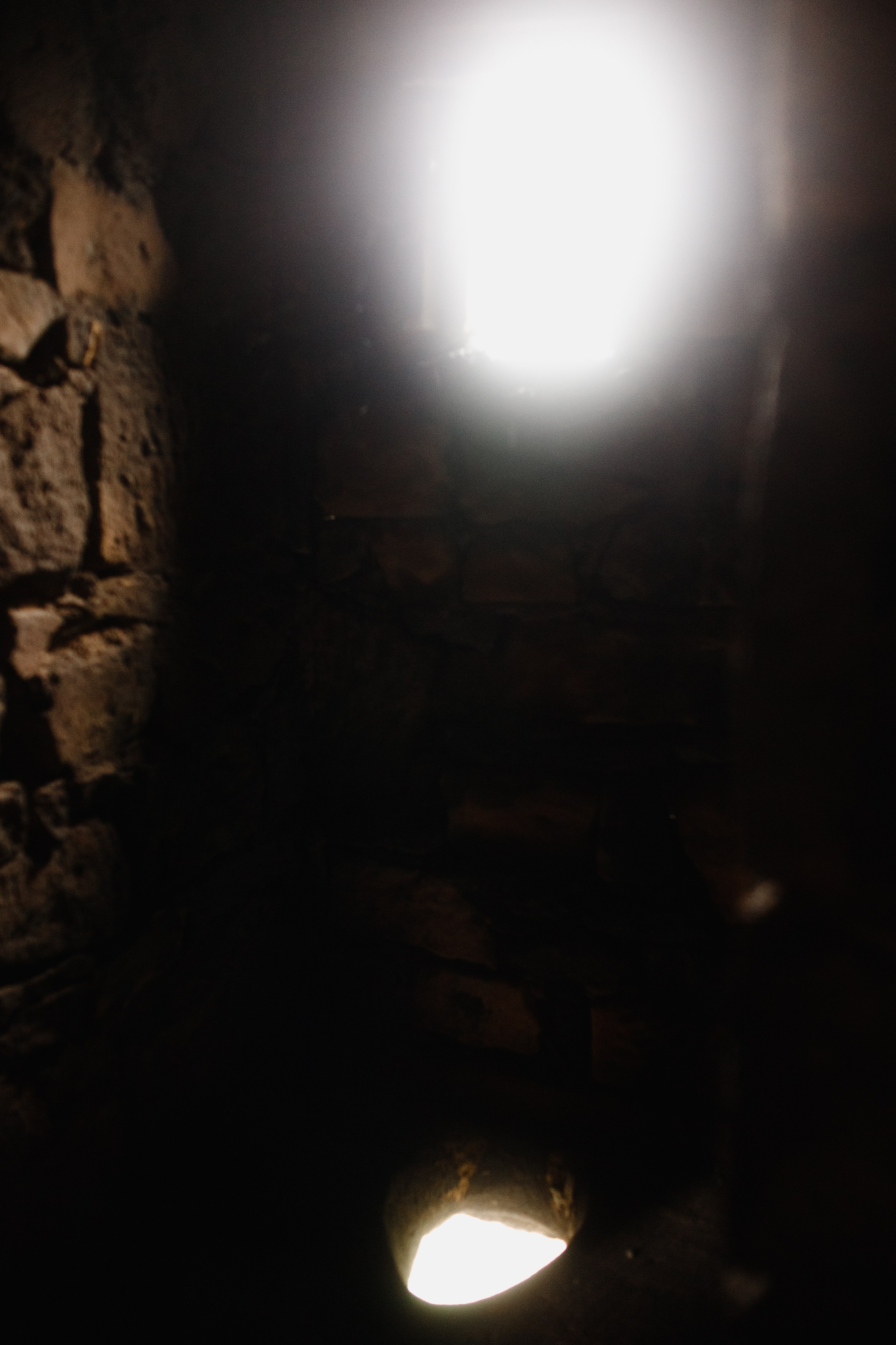 Zamek Grodziec. Kaja | fotograf psów we Wrocławiu