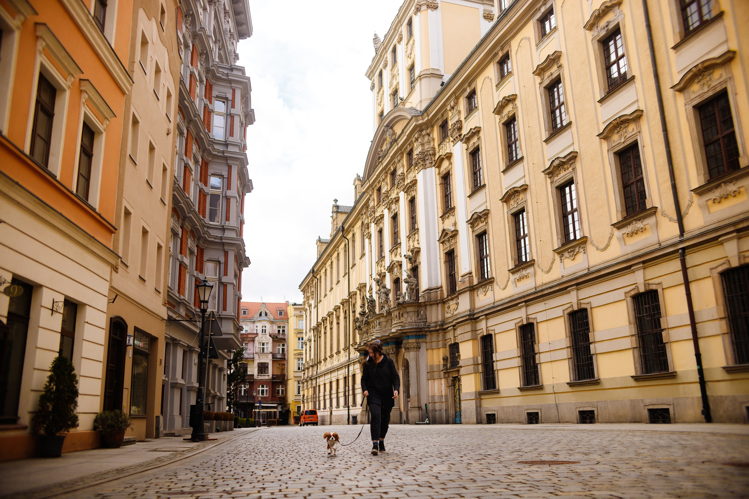 Uliana i Franklin. Kaja | fotograf we Wrocławiu | ludzie i psy