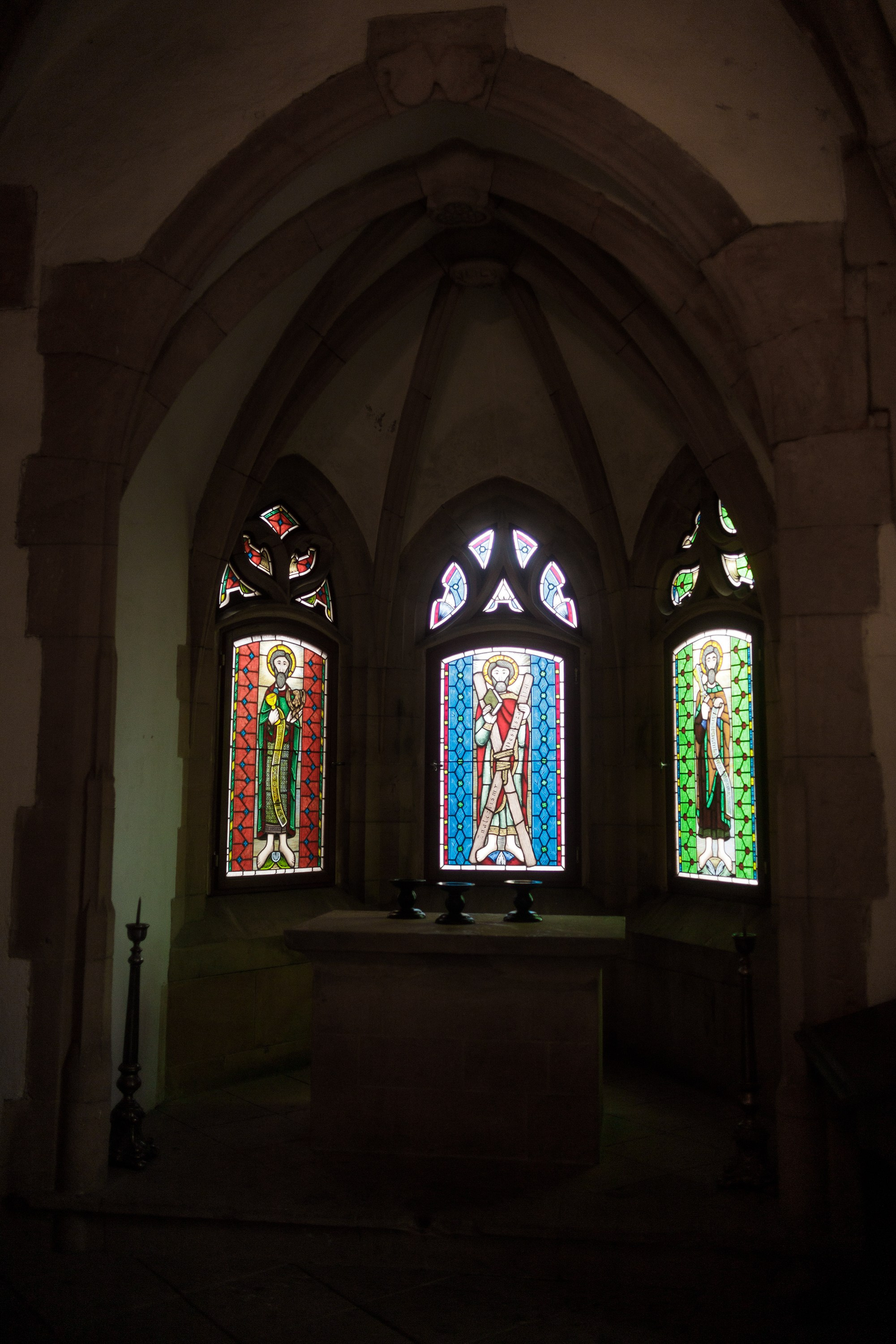 Zamek Grodziec. Kaja | fotograf psów we Wrocławiu