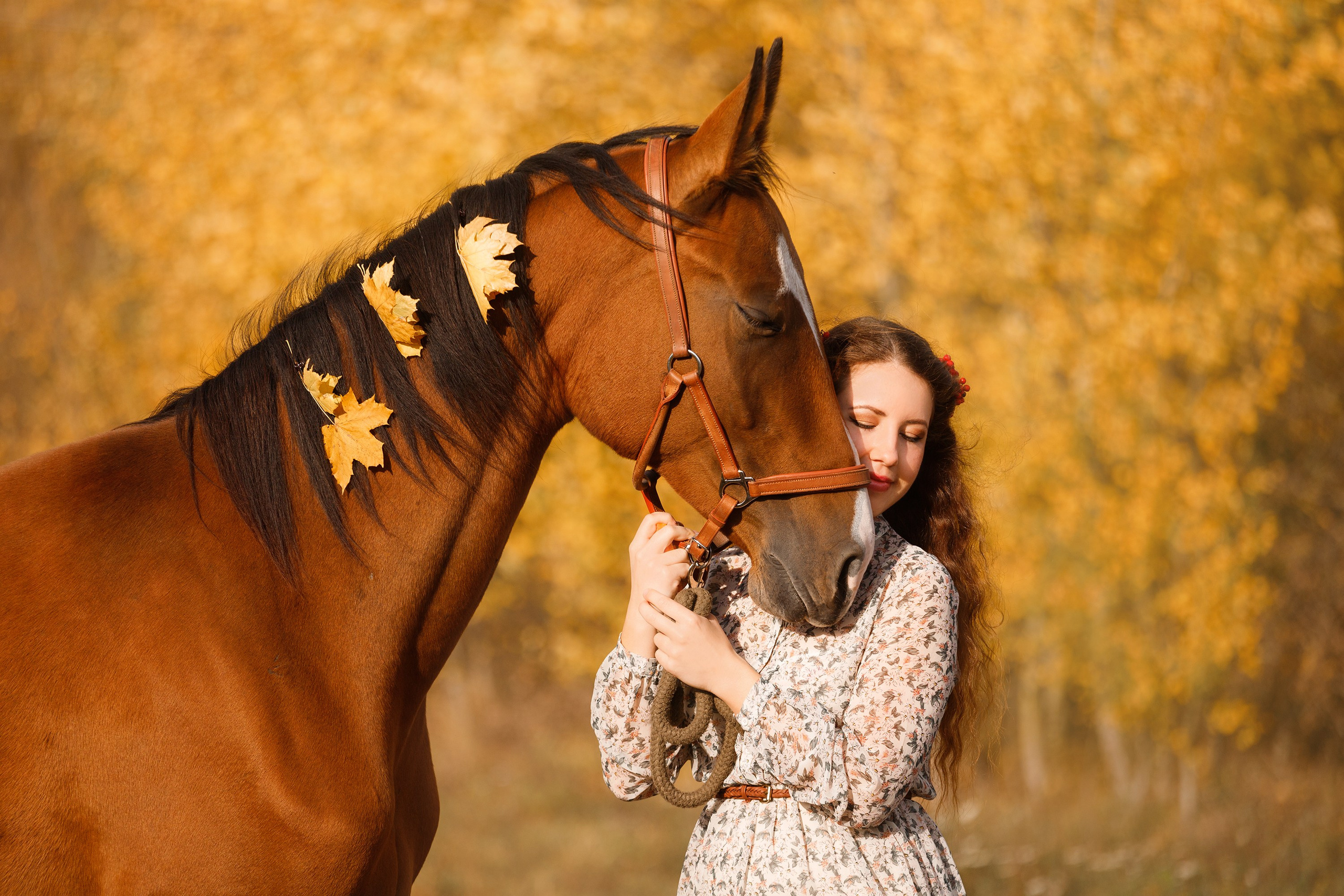 Aibike | autumn. Kaja | fotograf psów we Wrocławiu