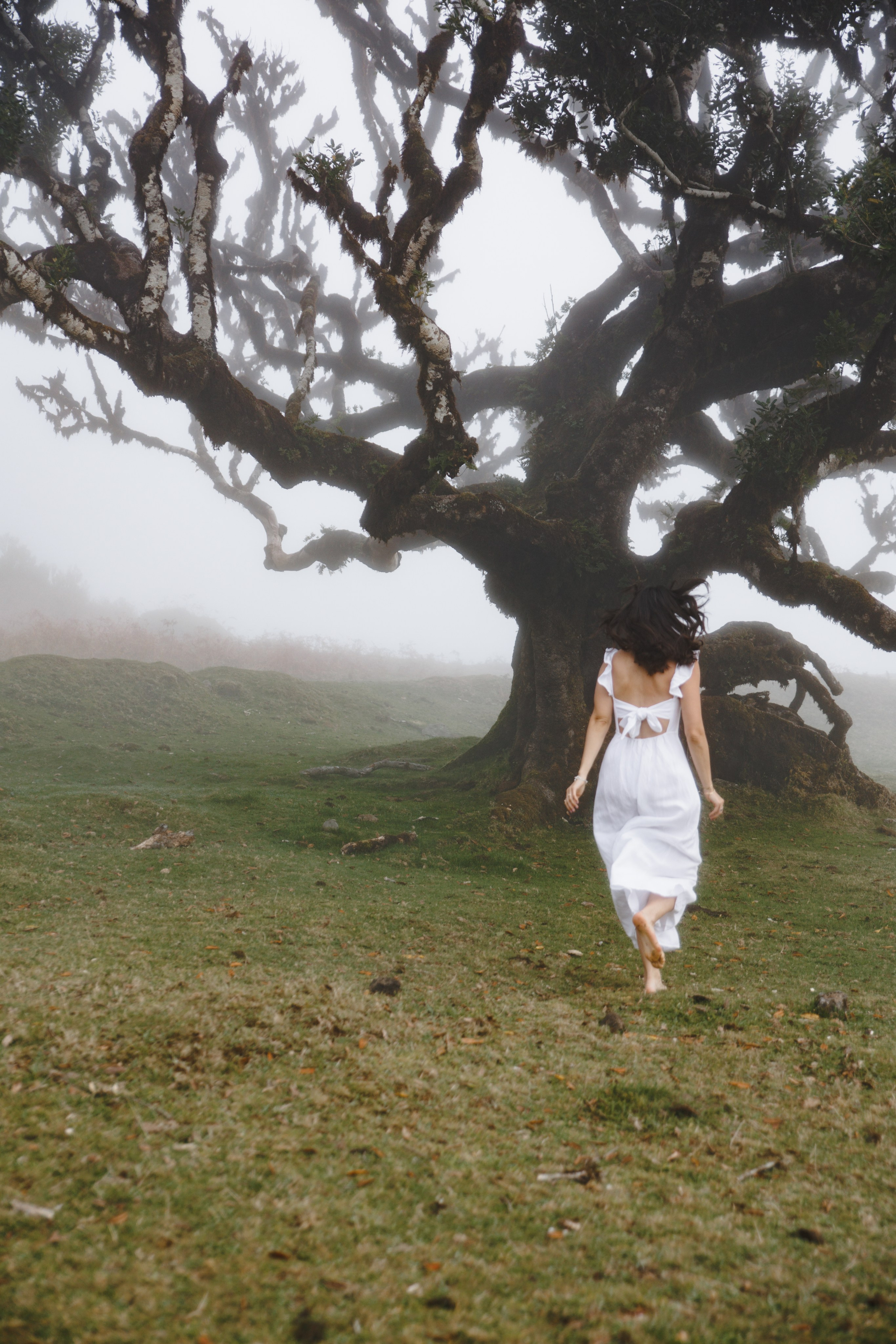 Lost in Madeira. Patricia Morenci — Mountain Adventures for the Wild at Heart