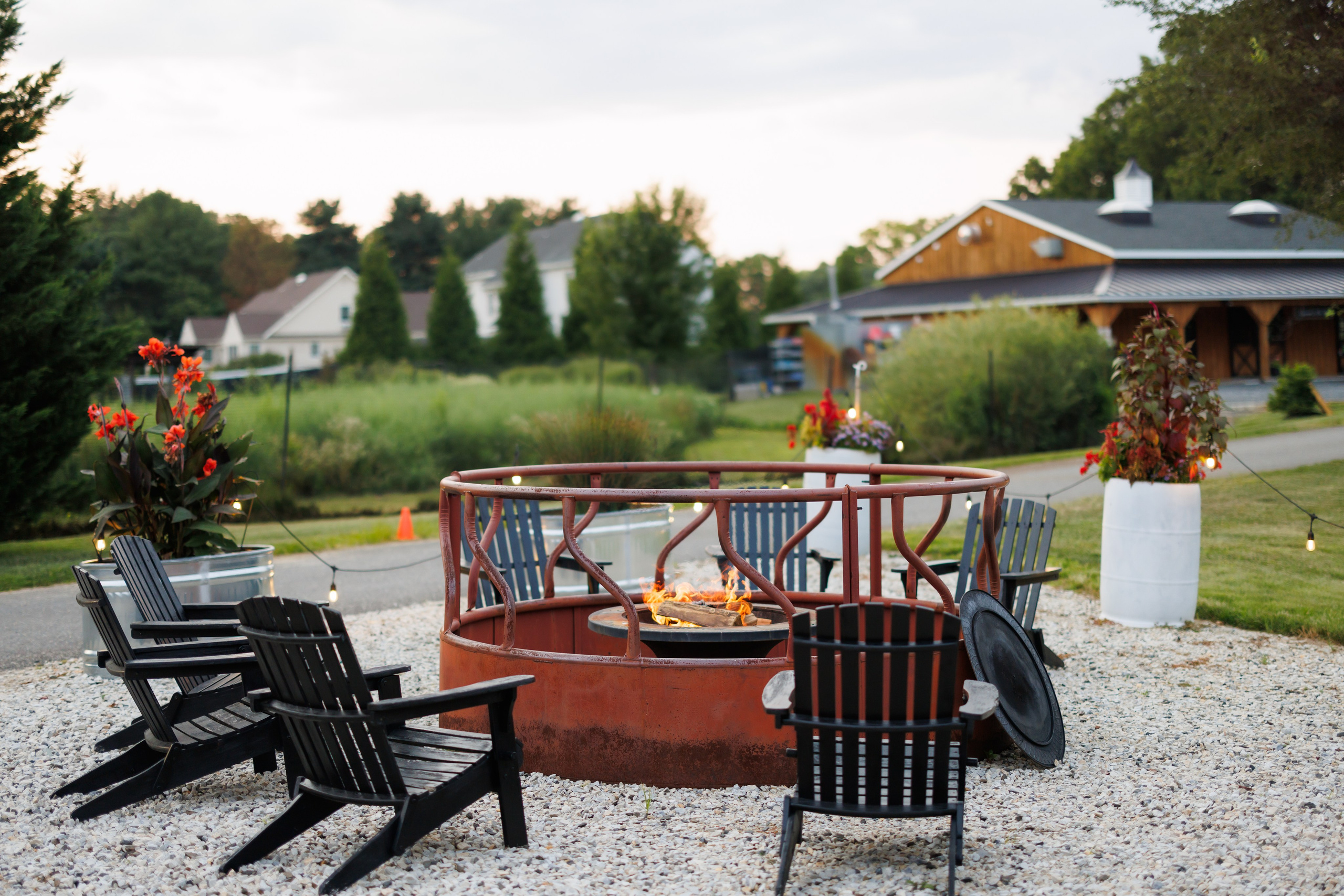 Agata & Eddie. Wedding Photo & Video