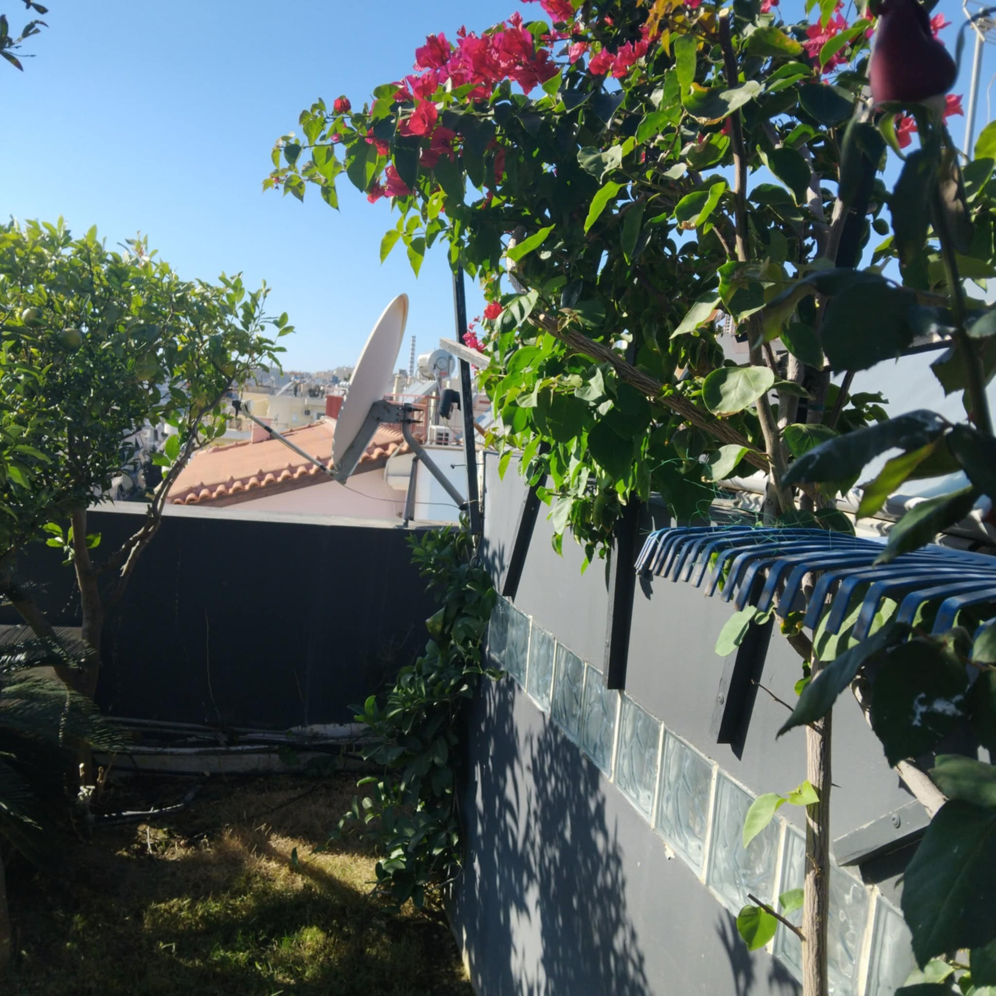 Κήπος Πειραιά. Geoponitikon-Όταν η Επιστήμη συναντά την Τέχνη στο Φυσικό Τοπίο!