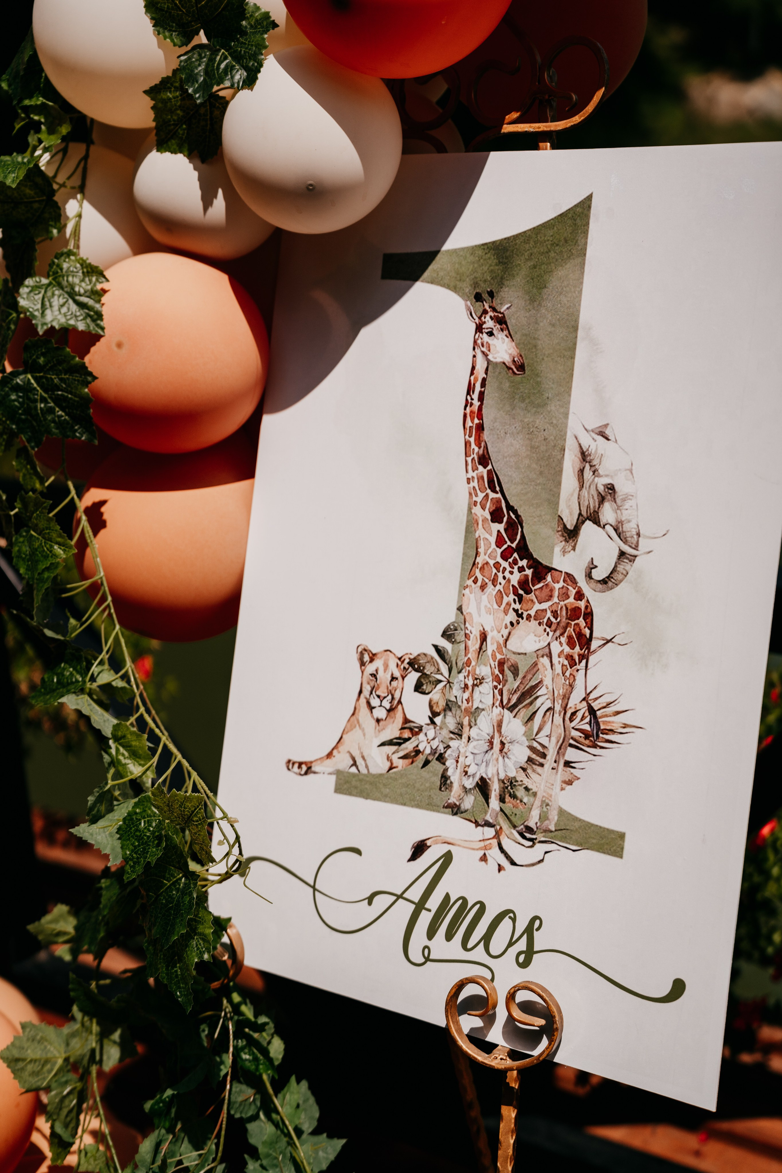 Amos' s 1st Birthday. Fotograf Nunta Iasi - Hearts & Pictures