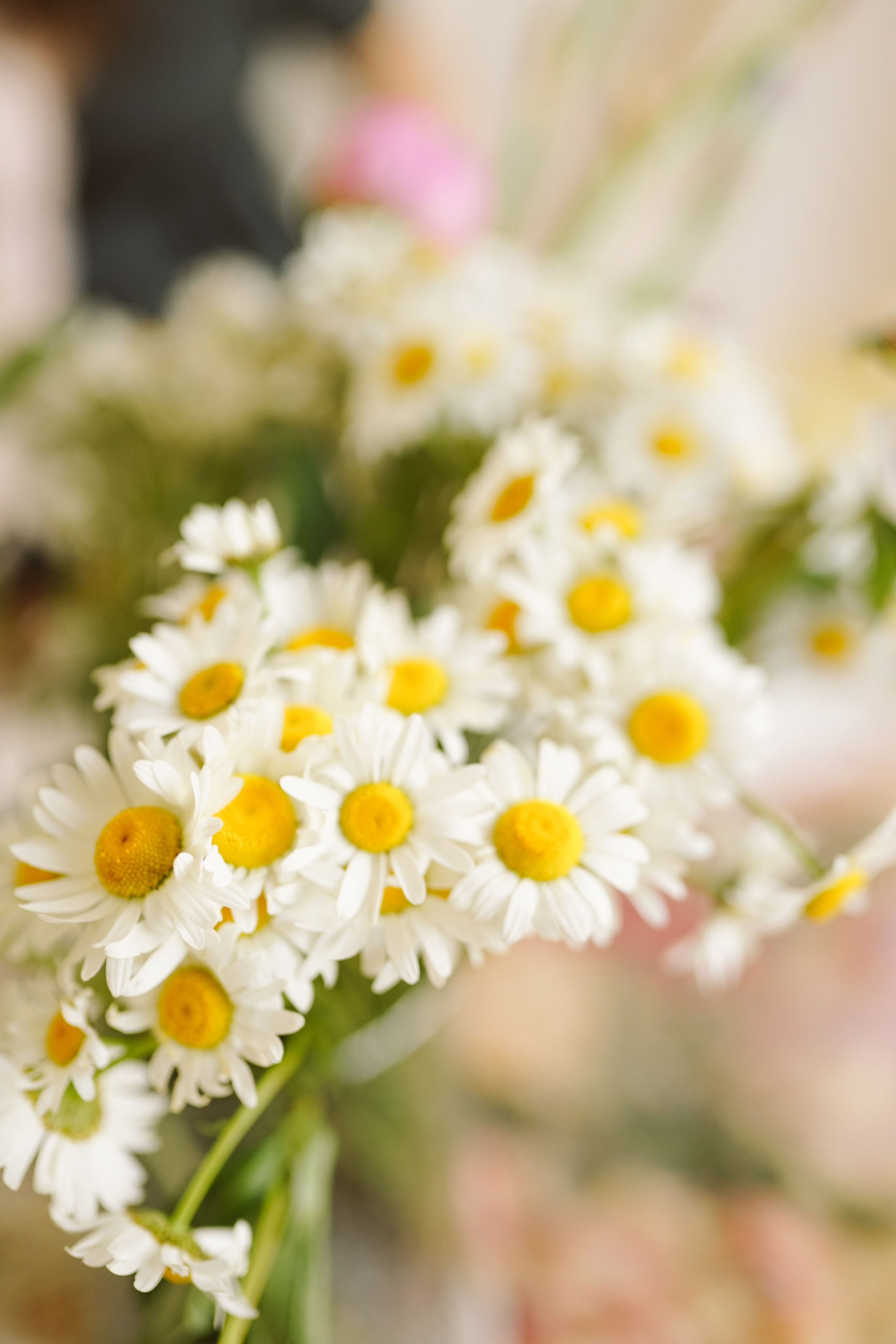 Ședințe Foto de Paște Brașov: Gălbenuș | Mădălina Beda. Madalina Beda- Artist vizual, fotograf, doula la nastere, consultant babywearing Brasov si in toata tara