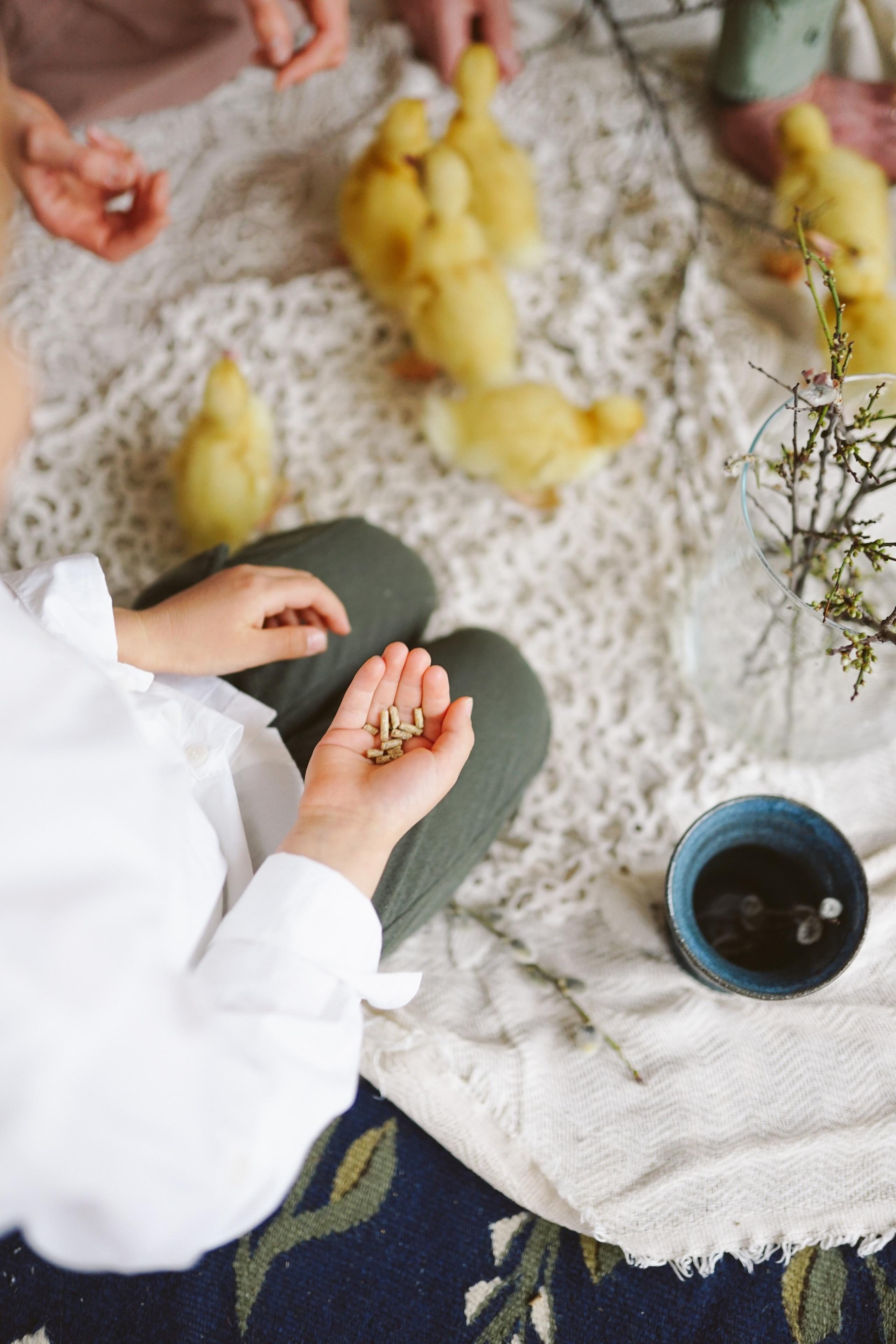 Ședințe Foto de Paște Brașov: Gălbenuș | Mădălina Beda. Madalina Beda- Artist vizual, fotograf, doula la nastere, consultant babywearing Brasov si in toata tara