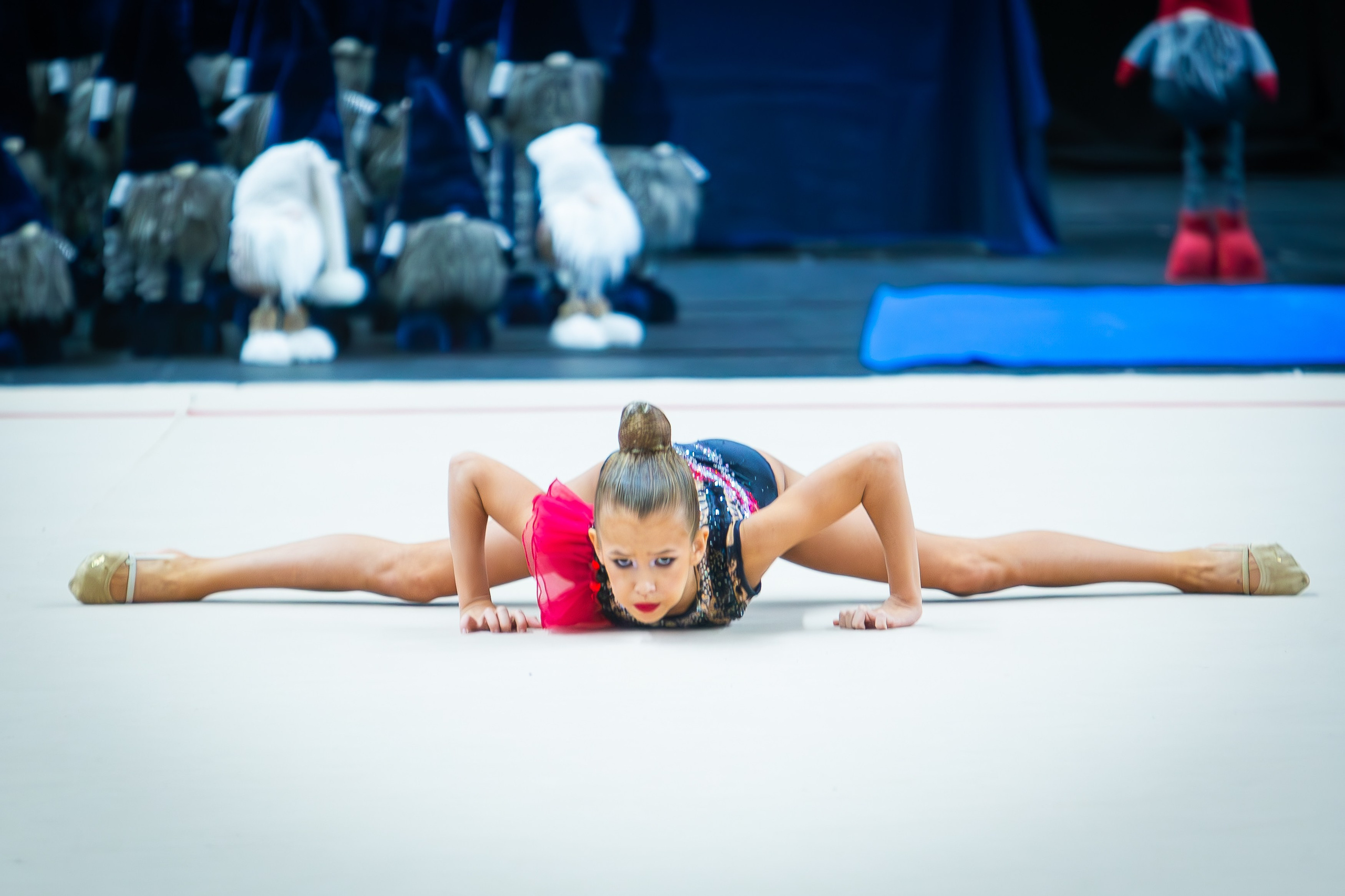 Галерея 2. Спортивная фотография, видео, трансляции