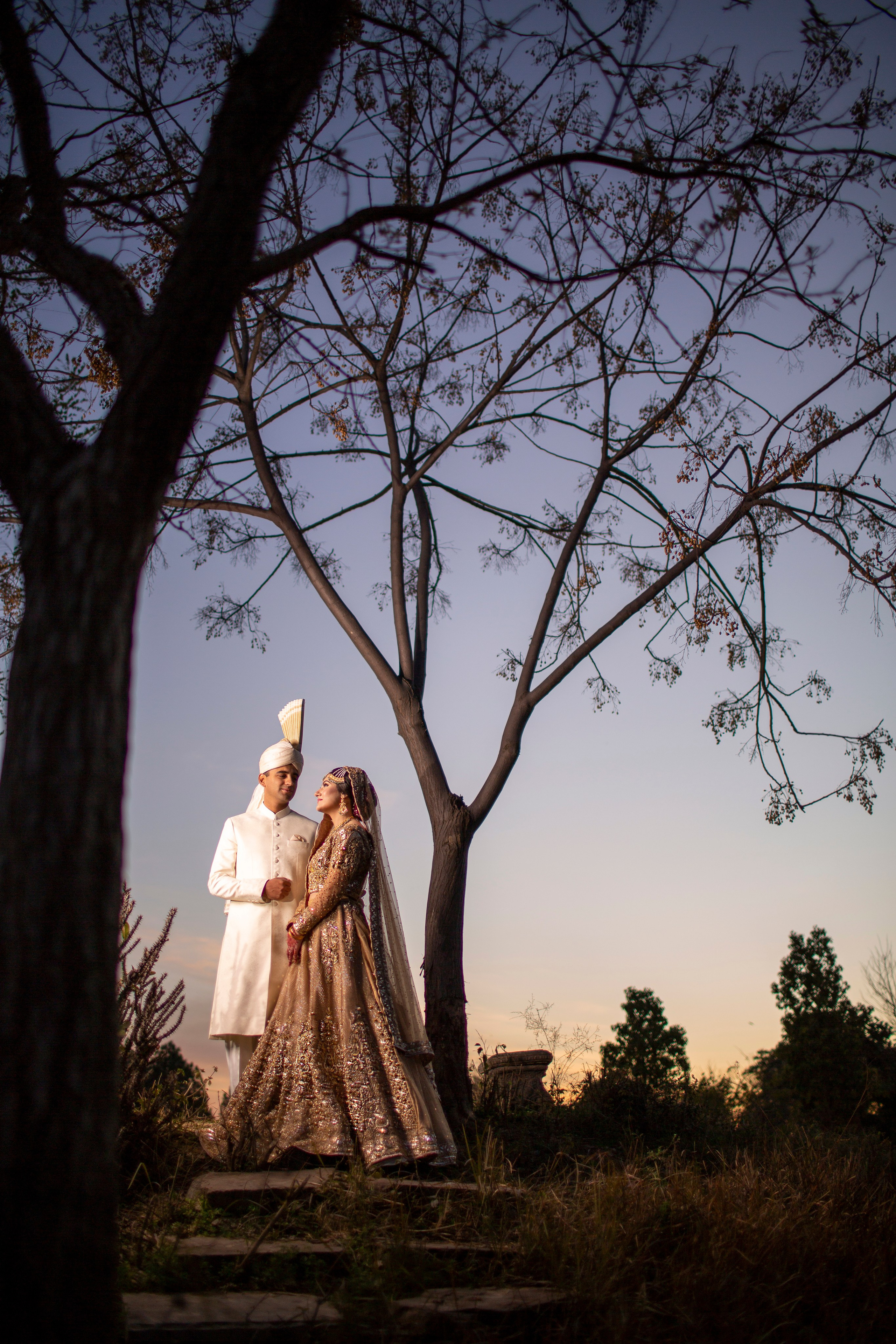 Portfolio. Chaar Bhai — Your Personal Family Historians