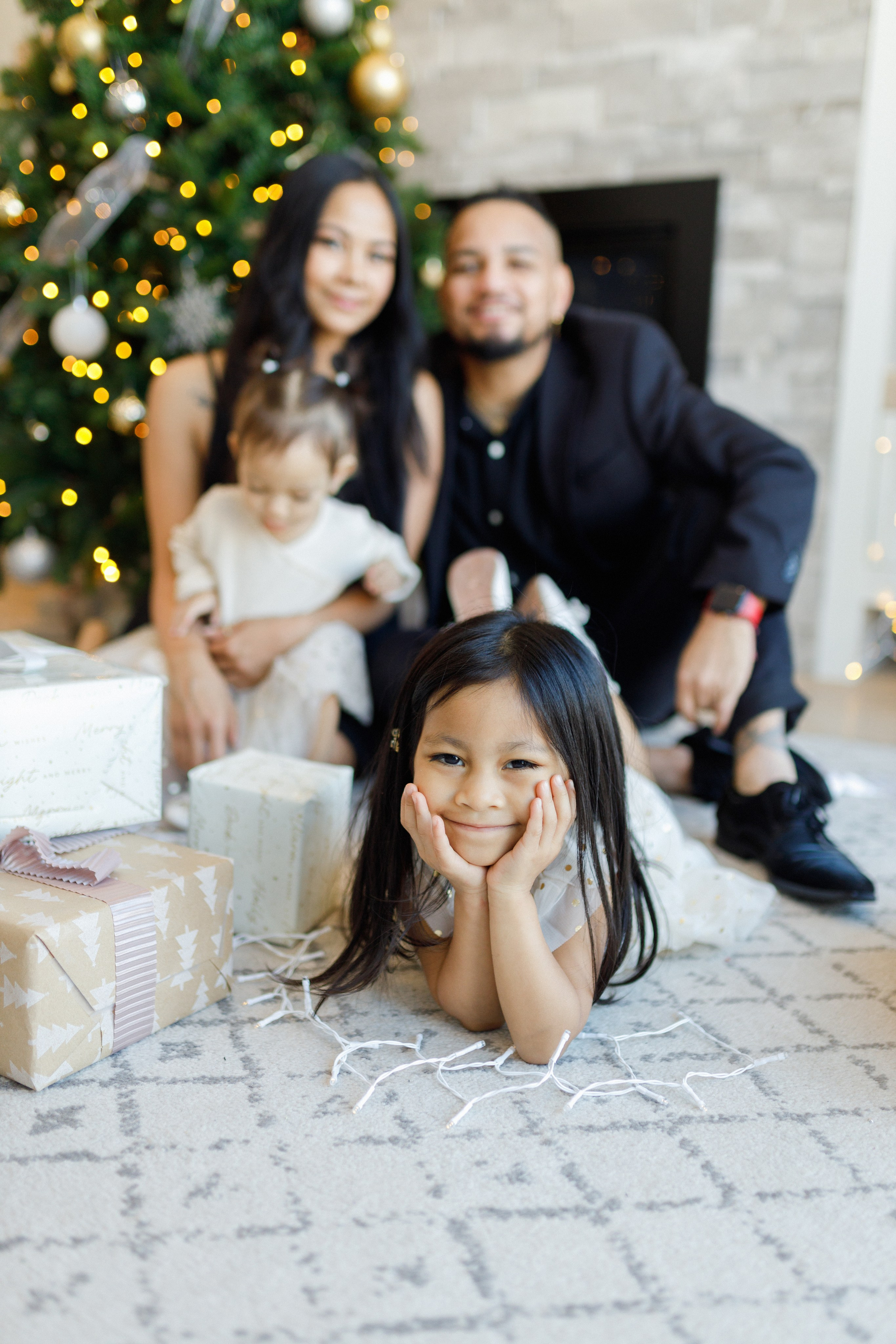 Christmas minis 2025. Home