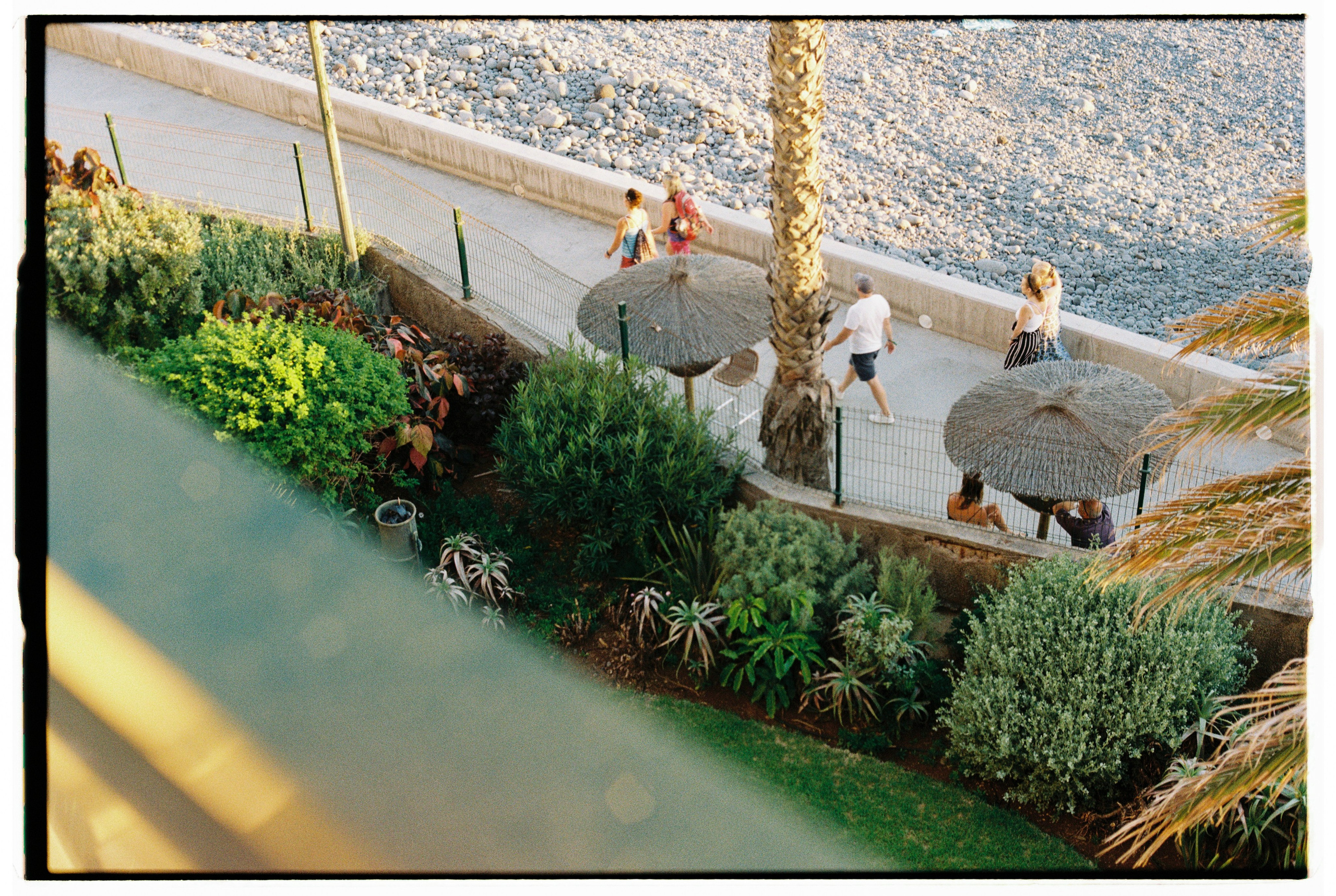 Madeira on film. Portrait photographer in Madeira — Marina Shtukina