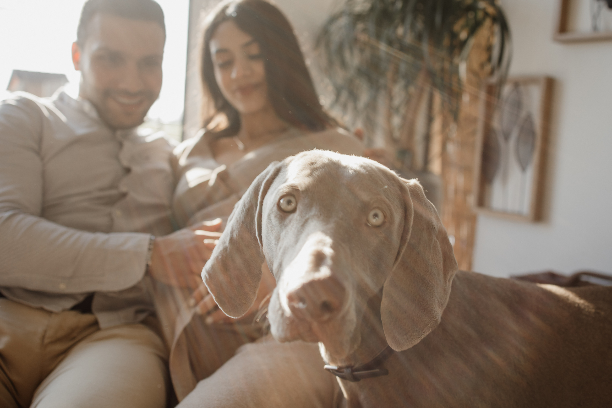 GROSSESSE. Семейный фотограф во Франции (Мец, Люксембург)