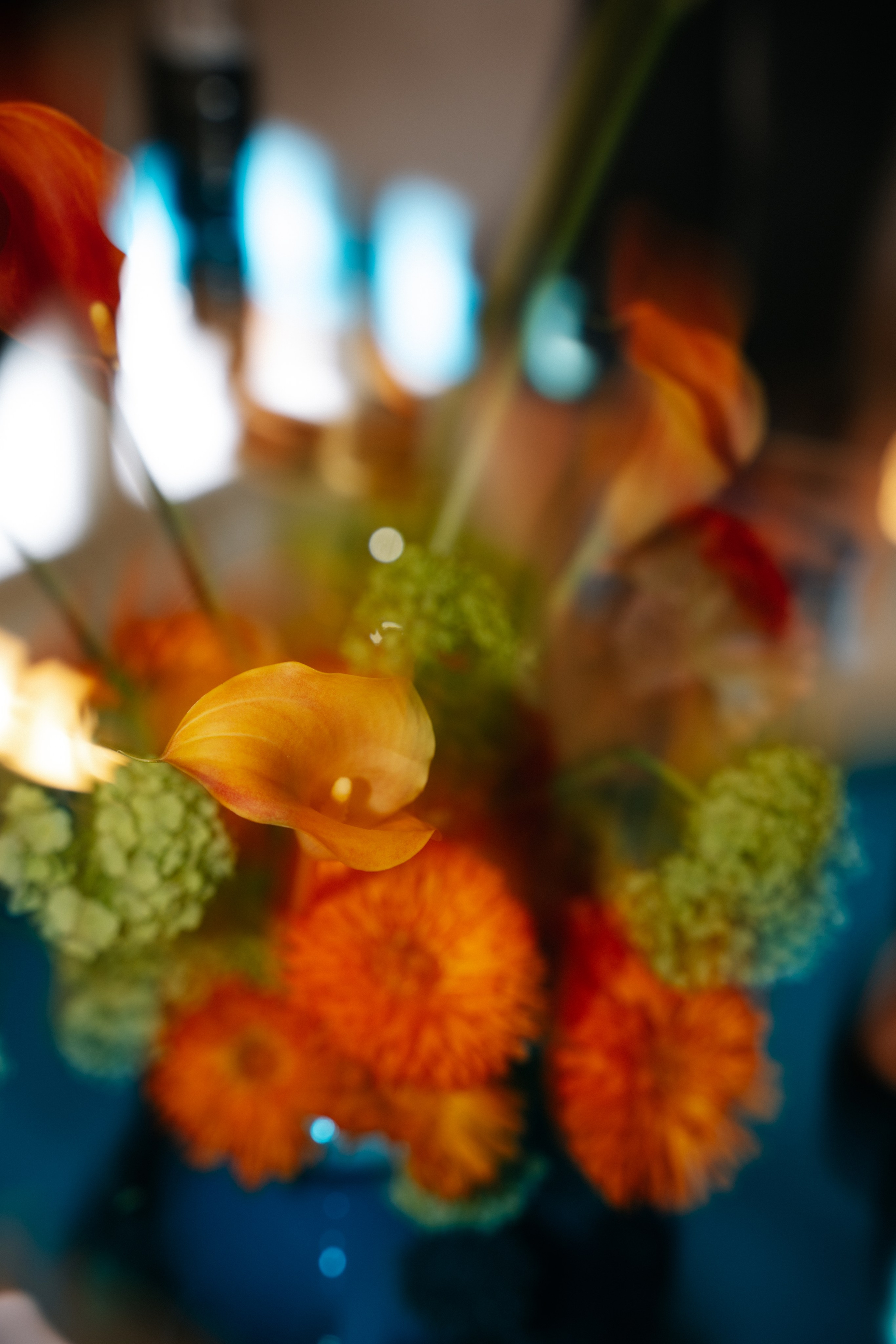 For Clients. Camilla Bloom