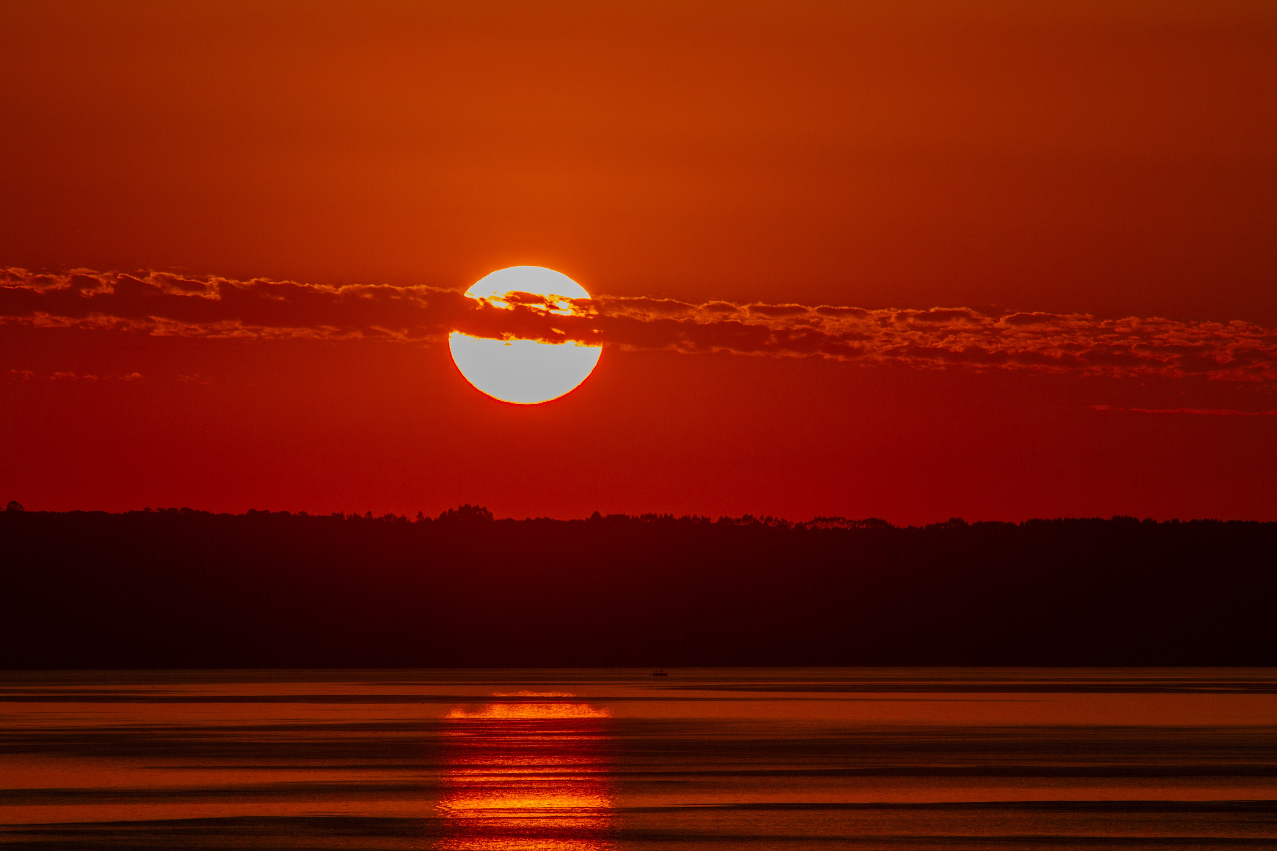 Nature photographer Yuri Soria-Galvarro