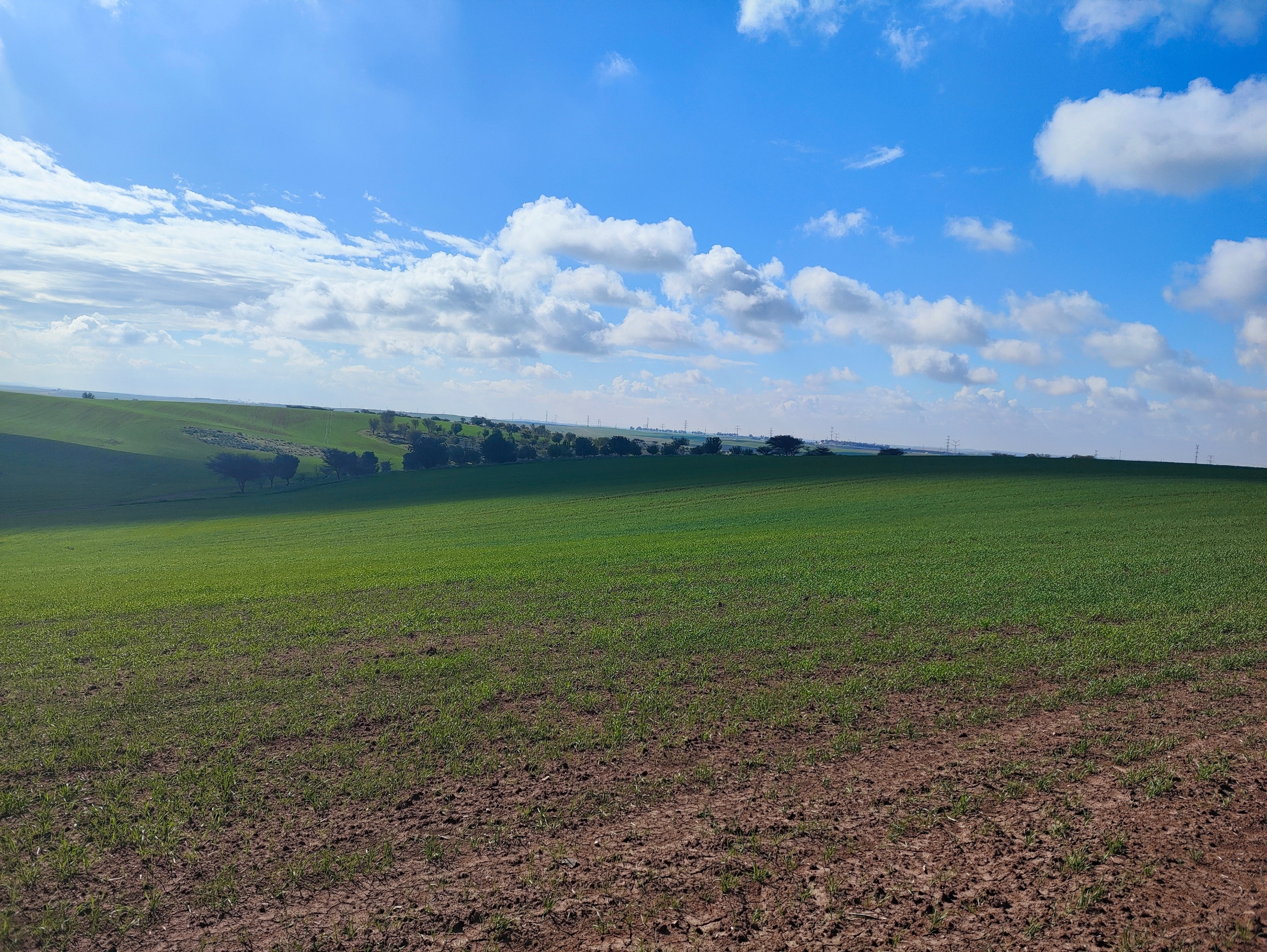 Аутентичный поход — Бейт-Гуврин | Клуб реконструкции Нортман. КРиС «Нортман»