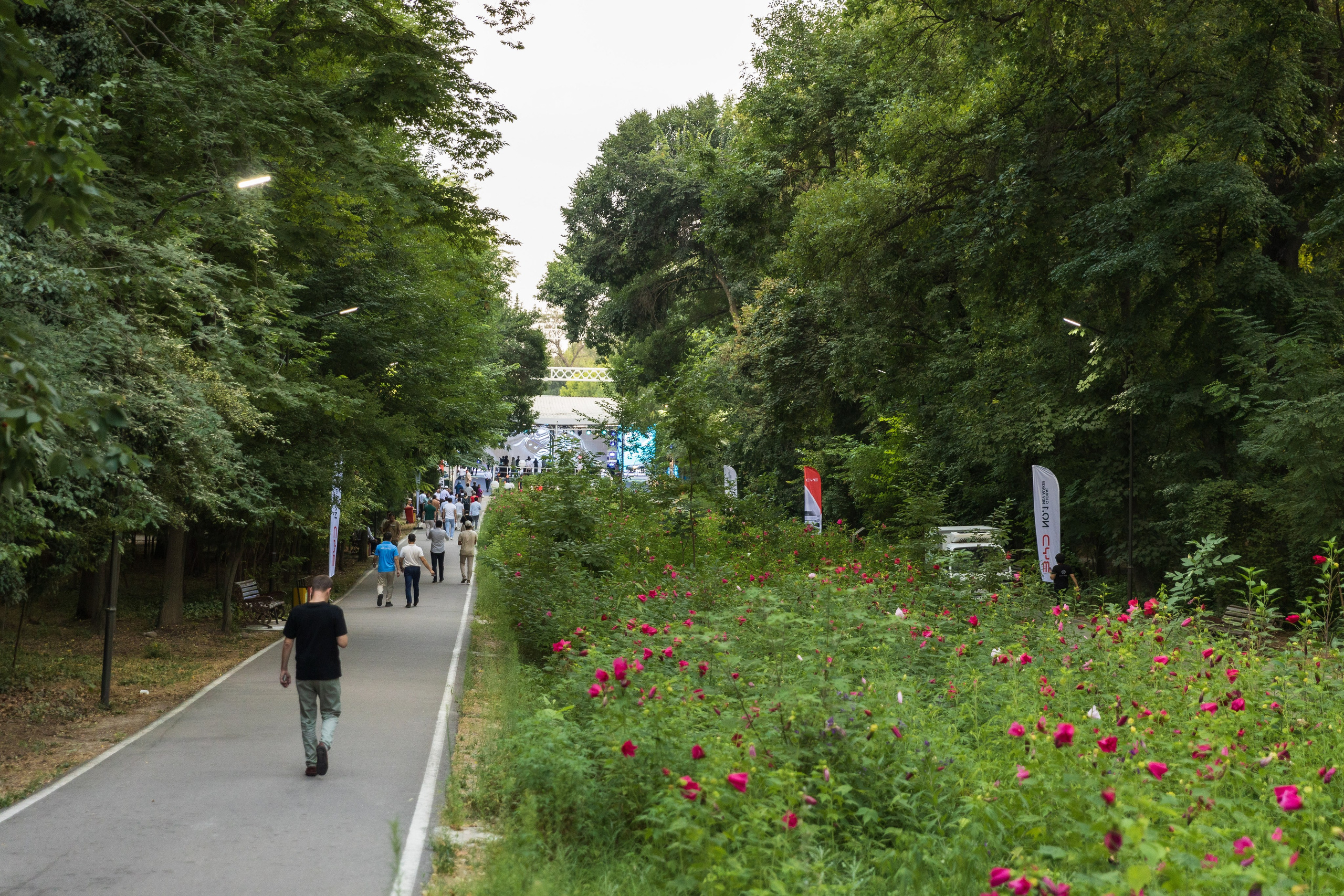 Презентация BYD E2. Профессиональная Фото-Видео Студия Геннадия Нестеренко | Ташкент и Весь Узбекистан