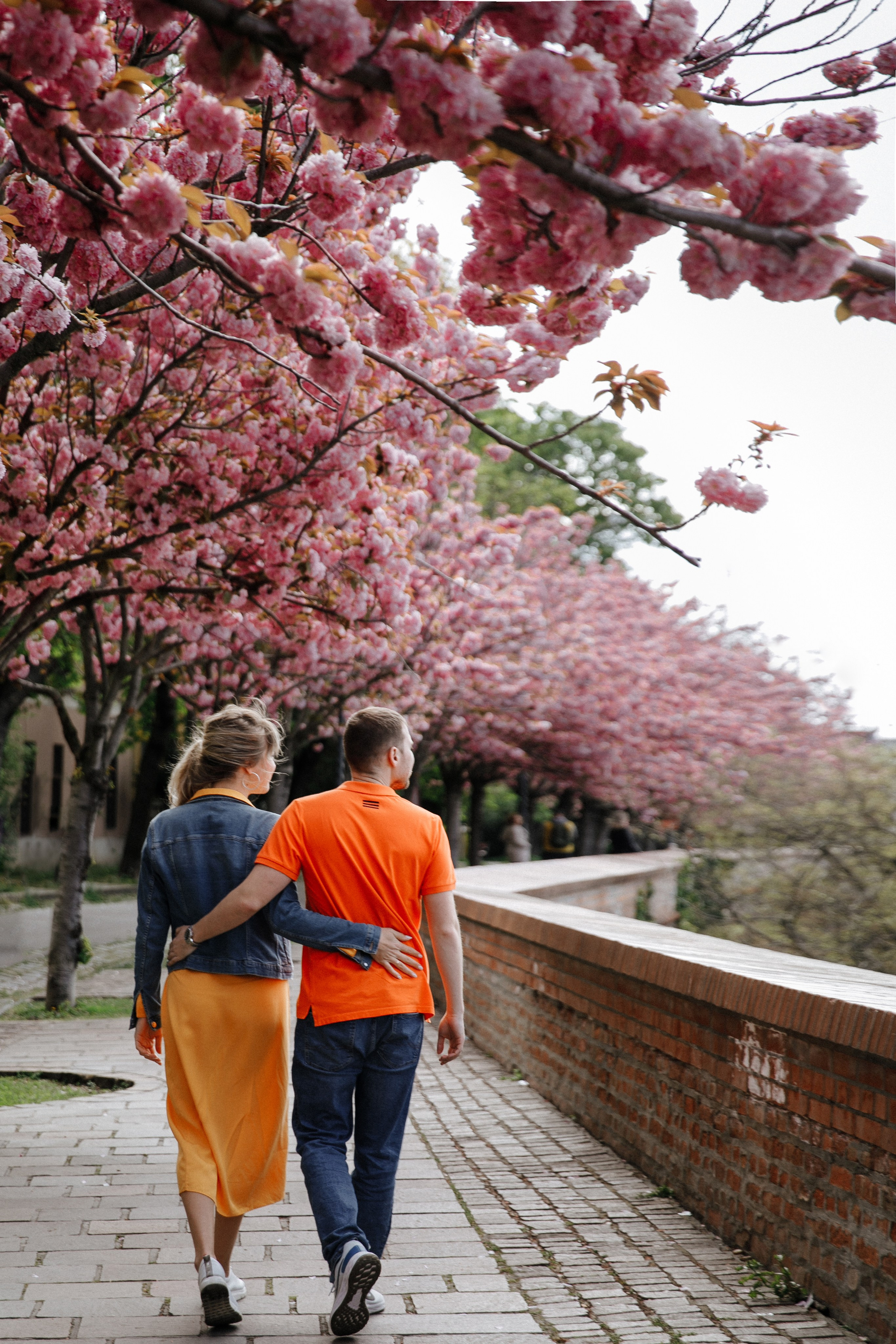 Рыбацкий бастион. Сакуры. Фотограф в Будапеште Рита Горбачева